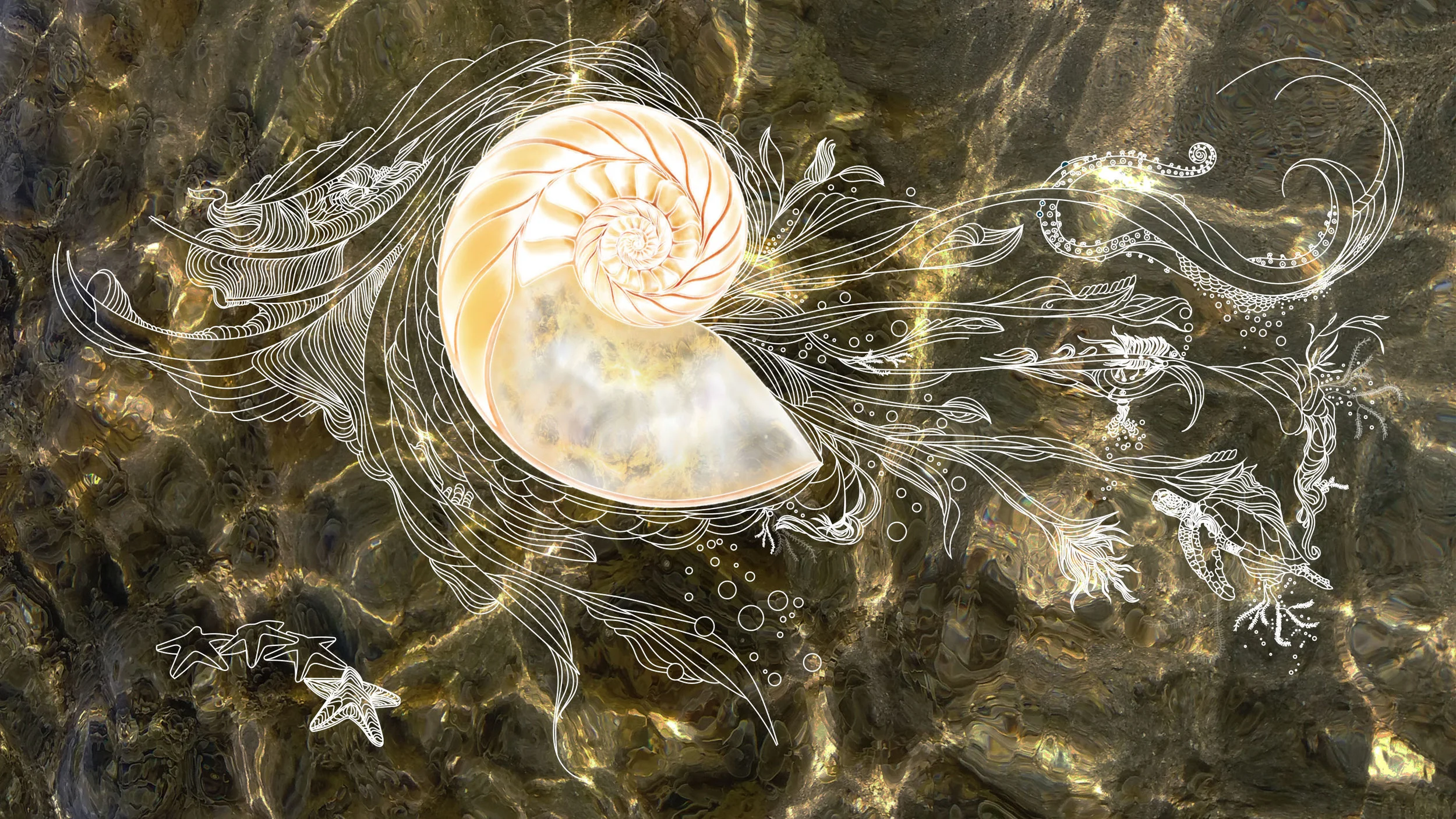 nautilius linea MARFOTO.jpg