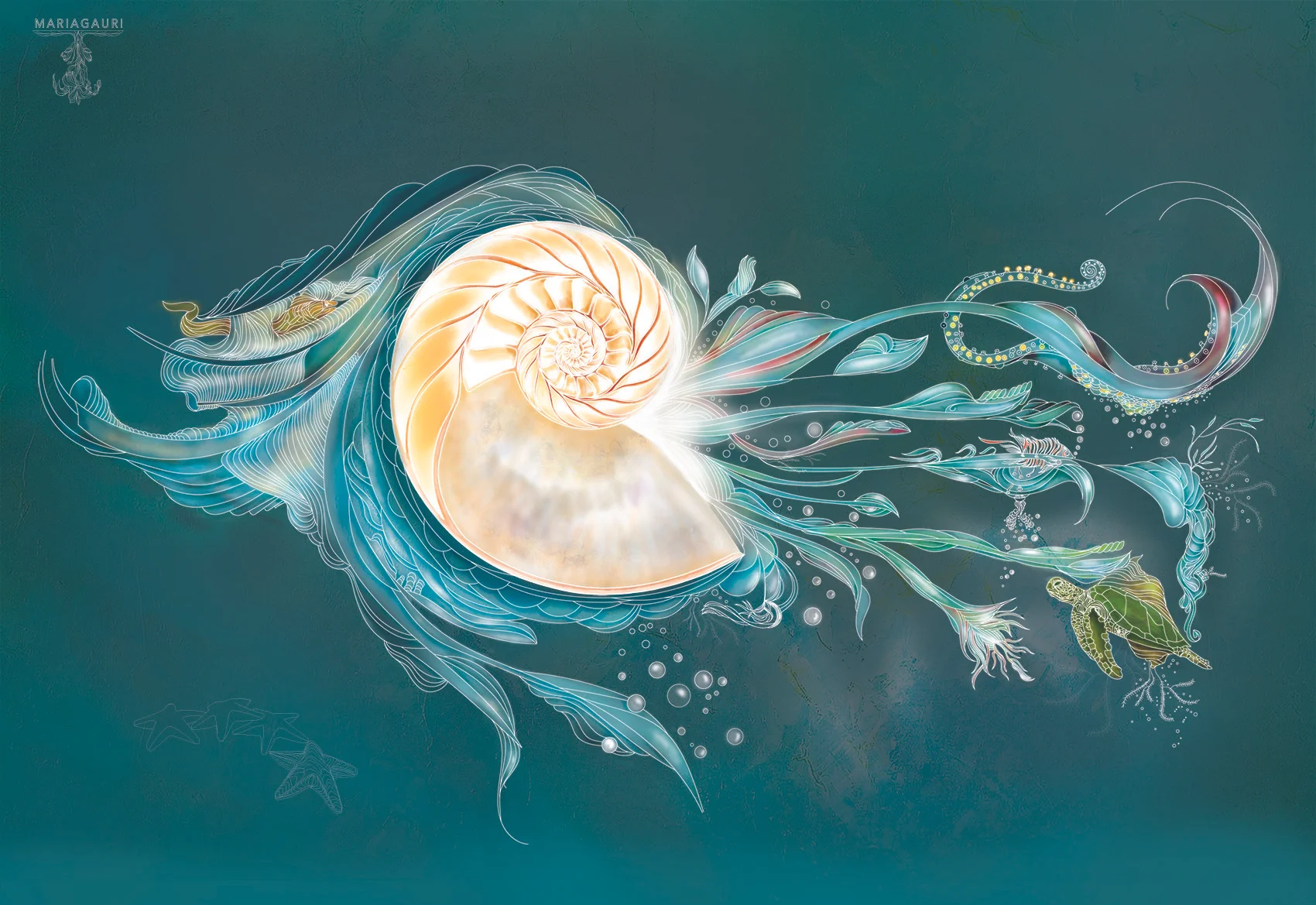 nautilius shell 7.jpg