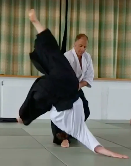Aikido Seminar with Charles Colten Sensei