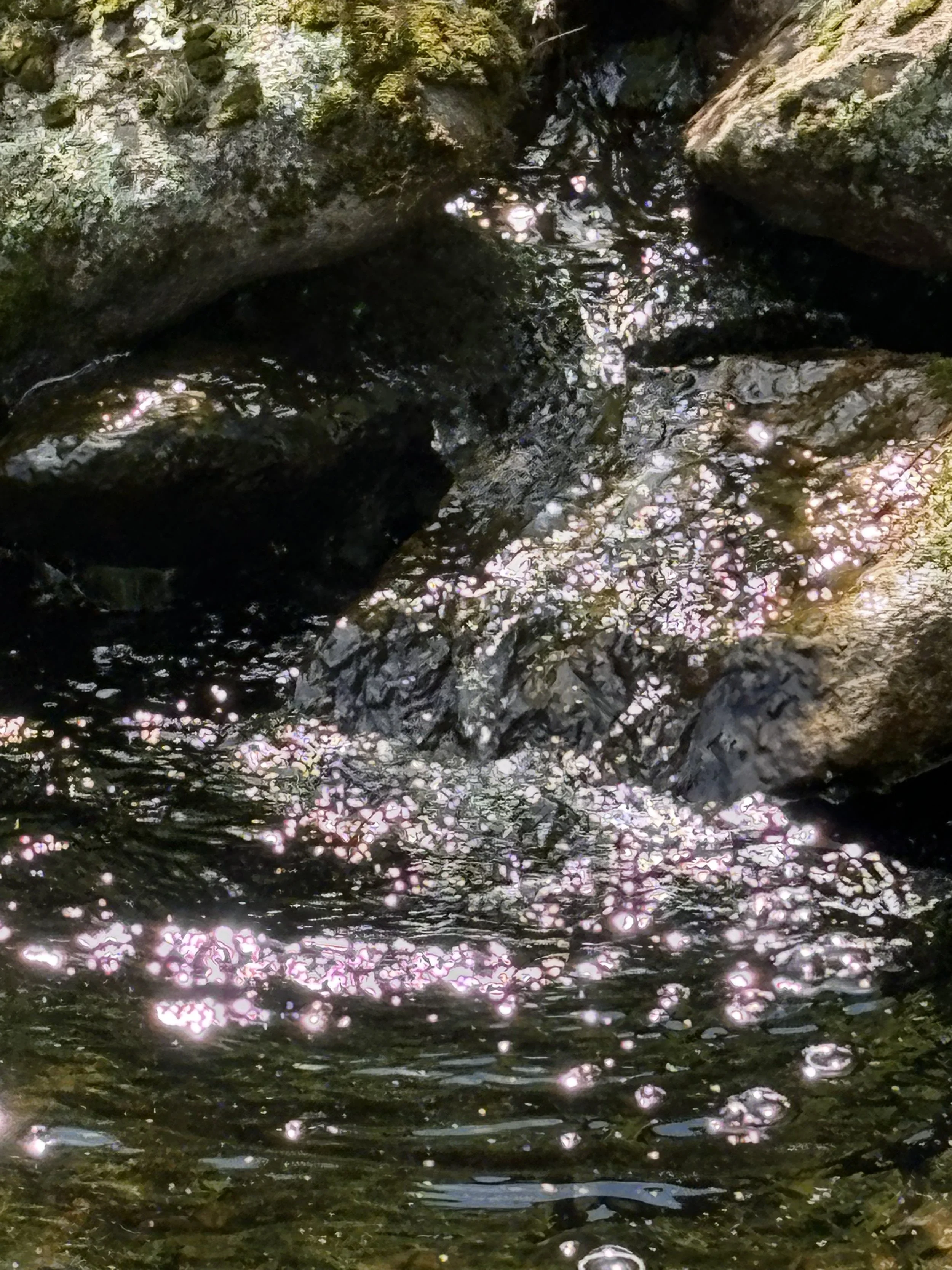 Ai Qi Gong: Deepening Connections