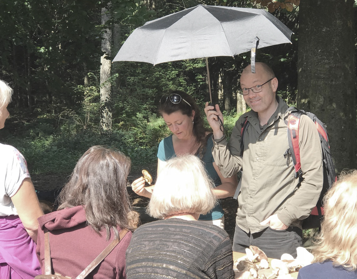 Pilzexkursion in der Sommerhitze.jpg