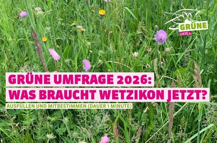 GP-Umrage Wetzion, jetzt ausfüllen
