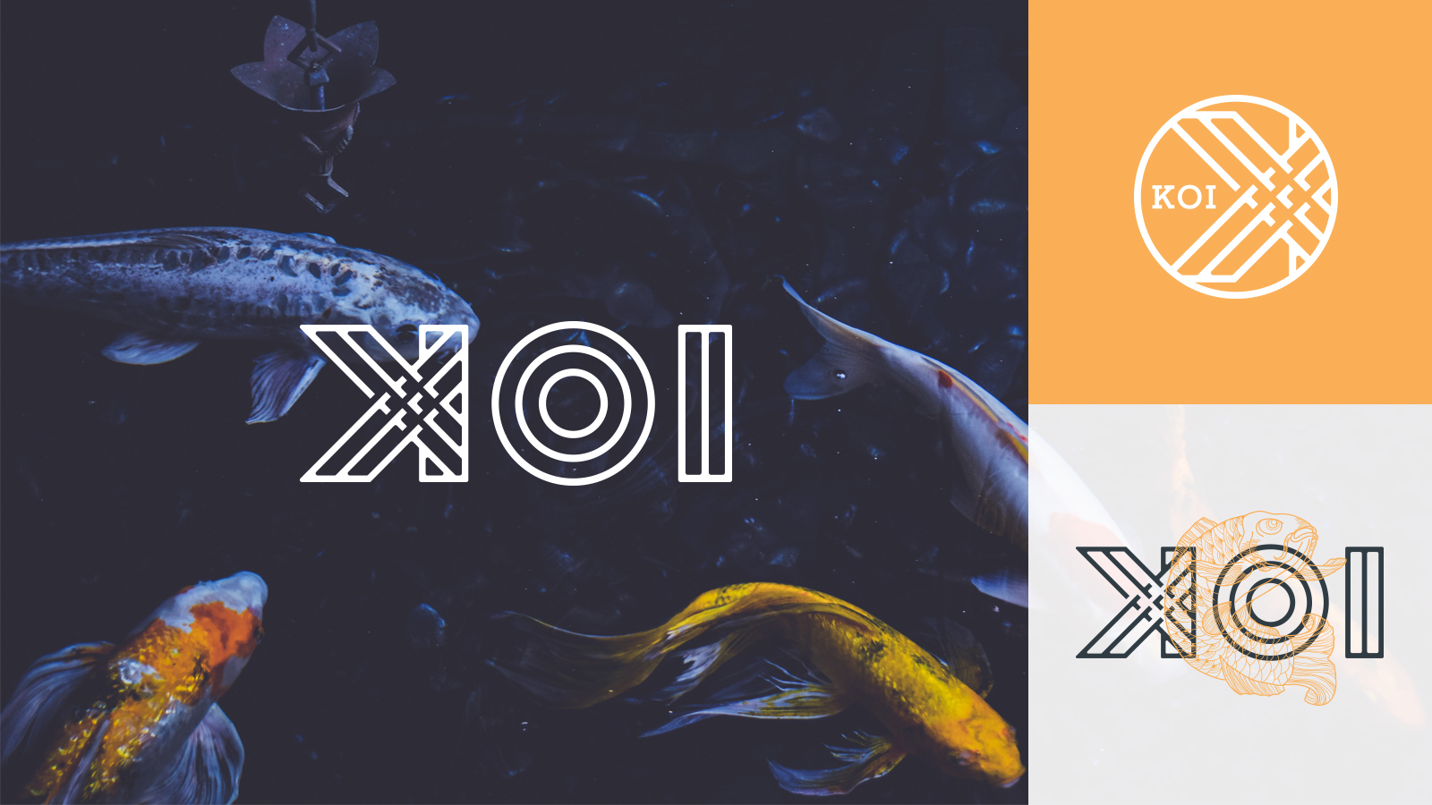 KOI.jpg