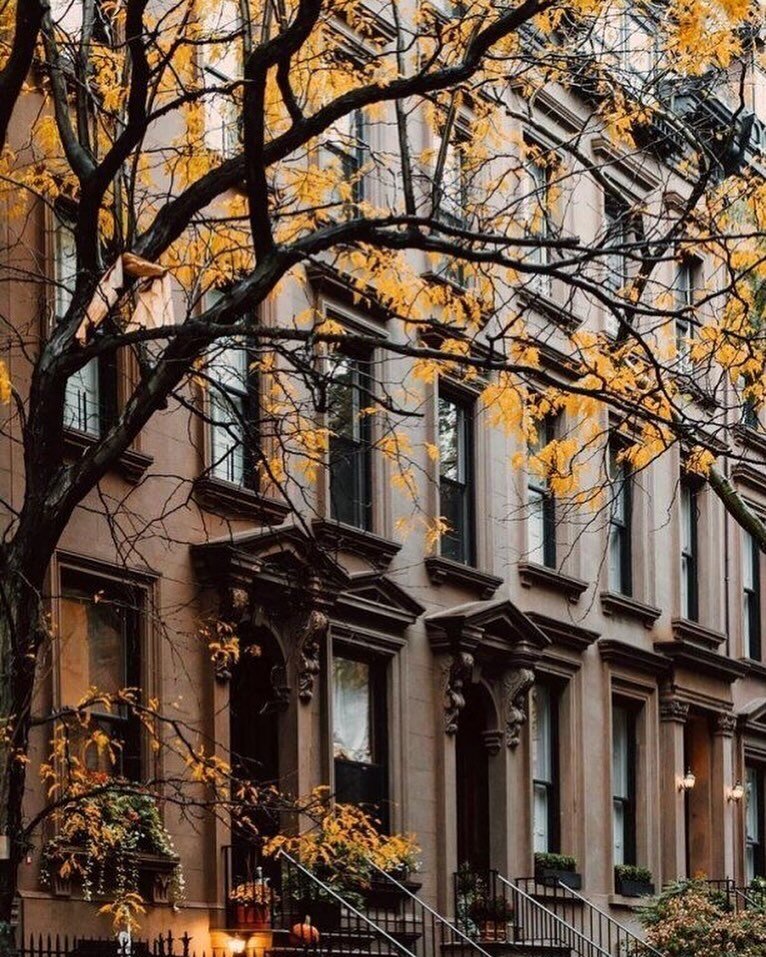 Brooklyn Heights, New York, where the streets come alive with the warm embrace of fall foliage against the backdrop of historic charm.