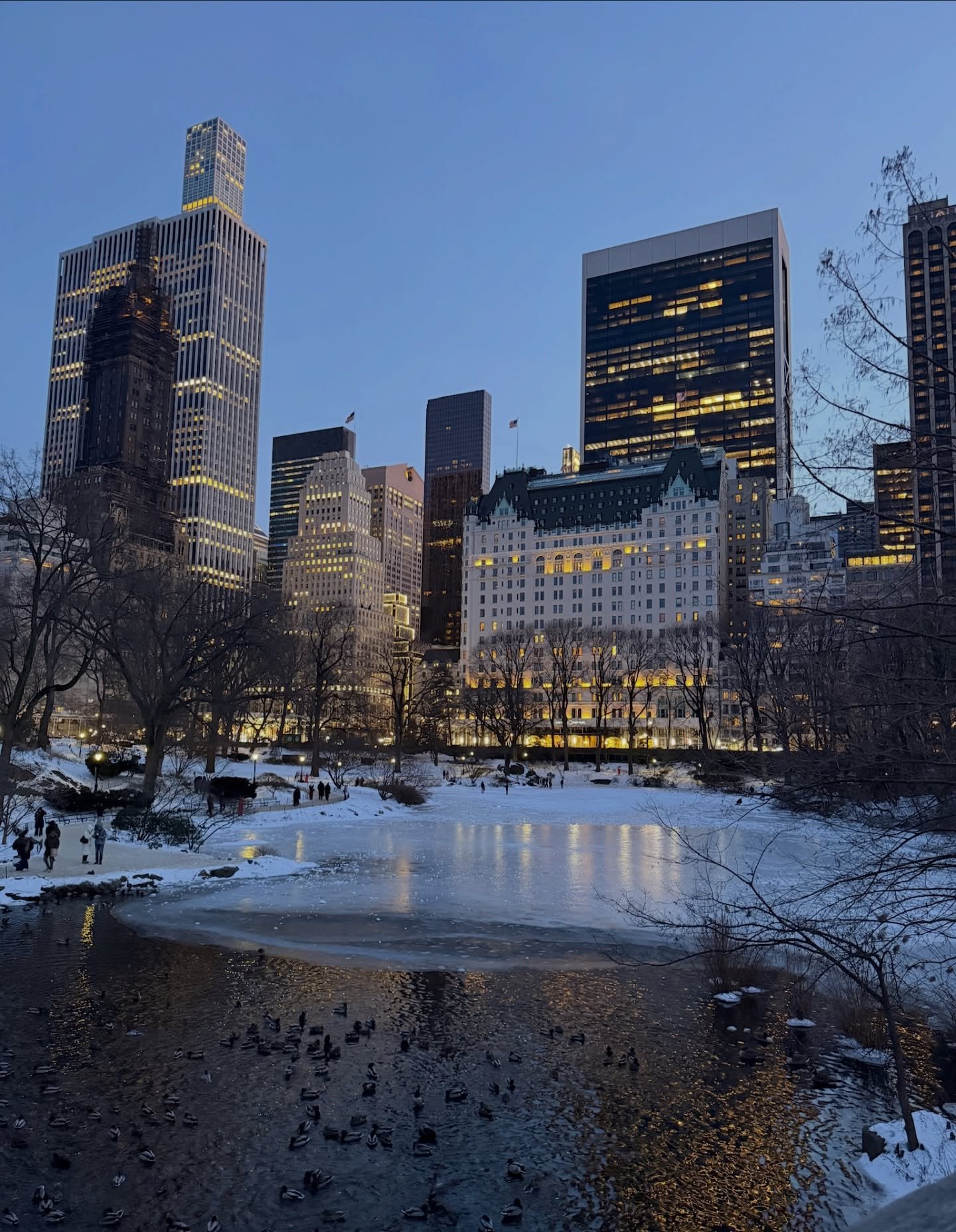 Recently, our Design Director, Lauren, travelled from our London HQ to spend time with our New York team.

In New York, we are working closely with our clients to create environments that reflect their progress, their individuality and the lives they