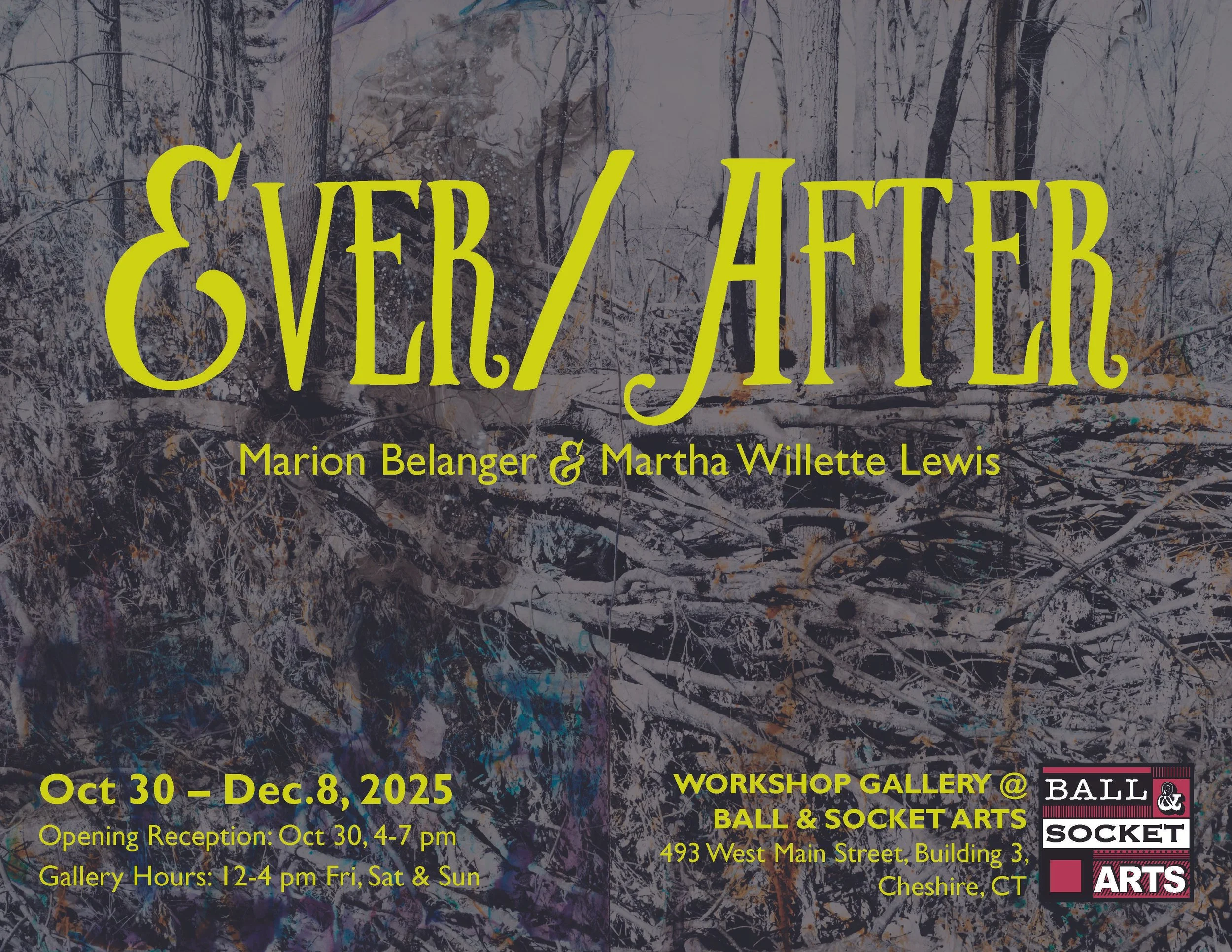 EVER / AFTER Opening Reception