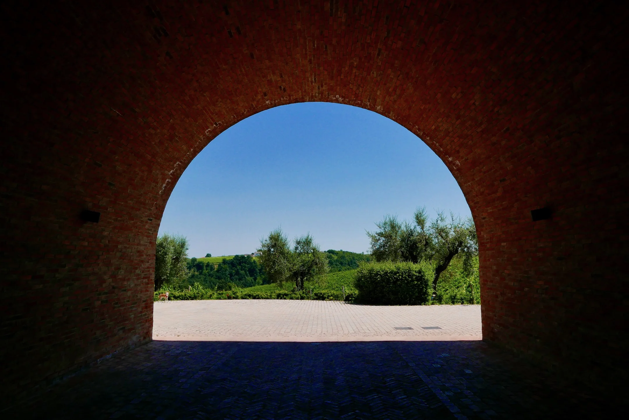 L1000820.jpg