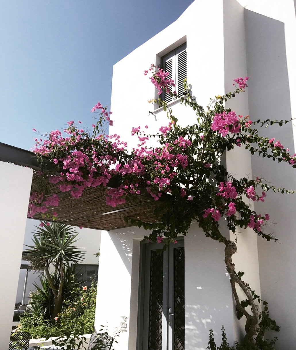 Santorini - The Adventure Decade