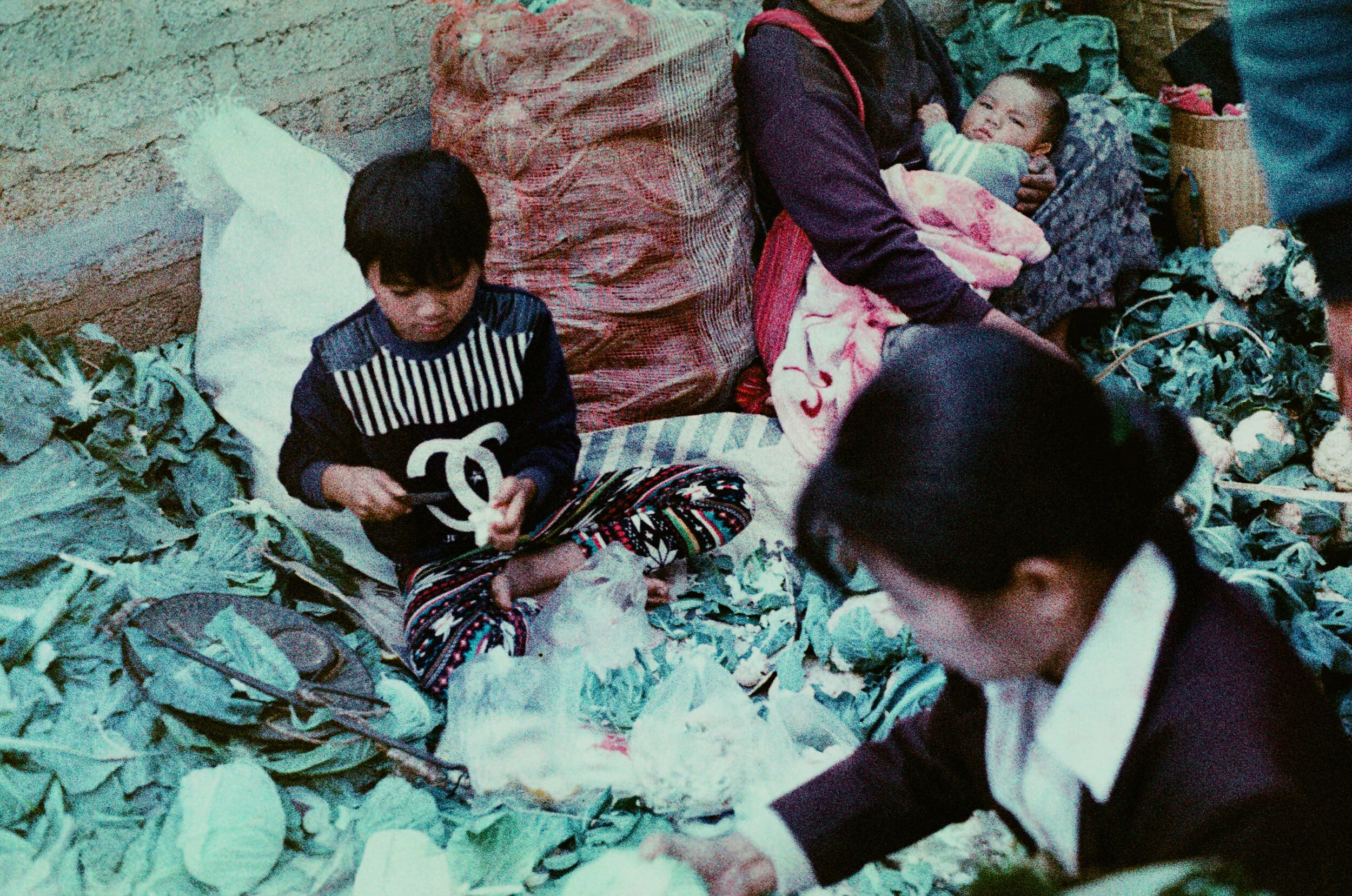 NPR: Global problems aid groups should prepare for, if they want to survive