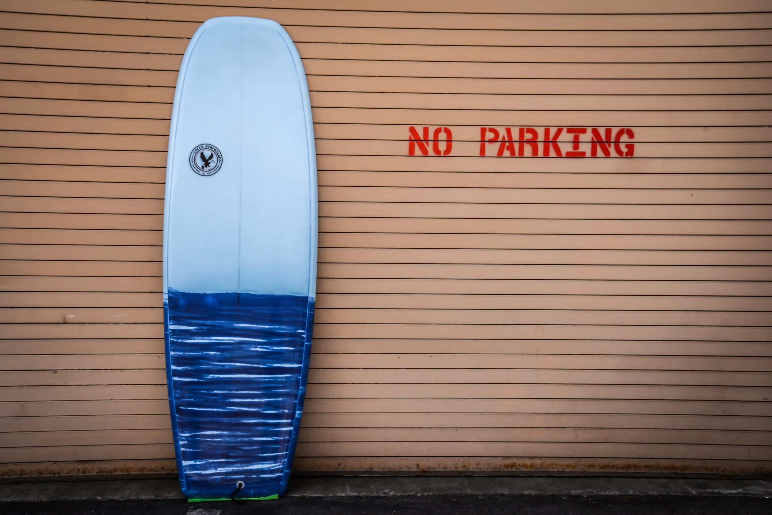 Monkey-Wing-Surfboard-Top.jpg