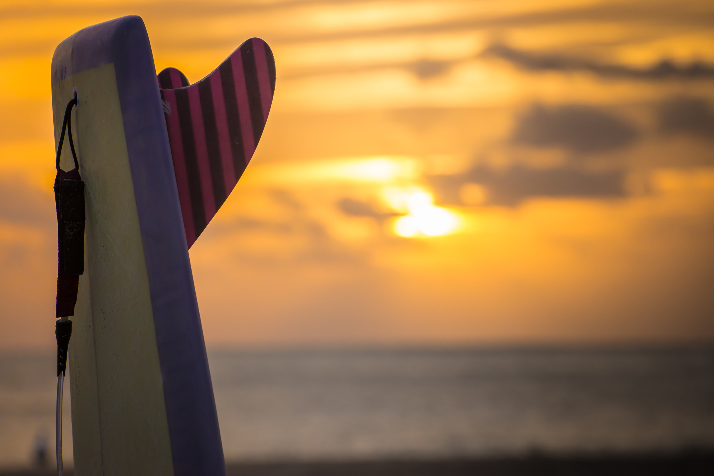 Locus-Monkeywing-Tail-Sunset.jpg