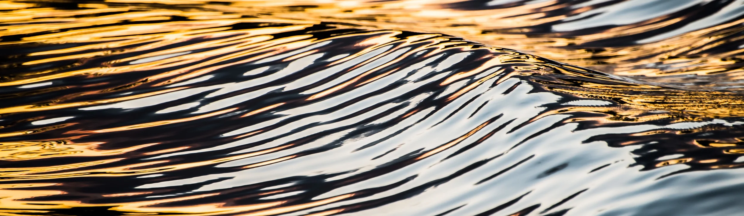 Locus-wave-reflection-1-1.jpg