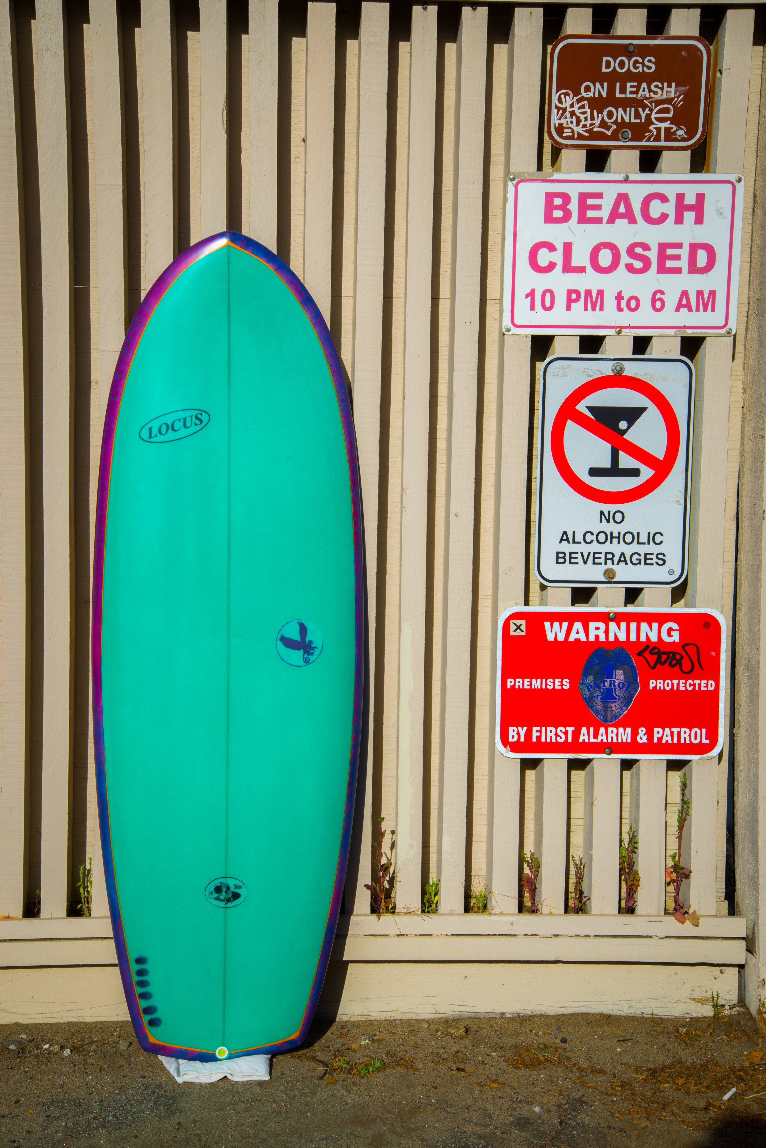 Gibbon, surf, surfboard, ecoboard, hand shaped, santa cruz, california, Locus, Locus Surfboards,quad