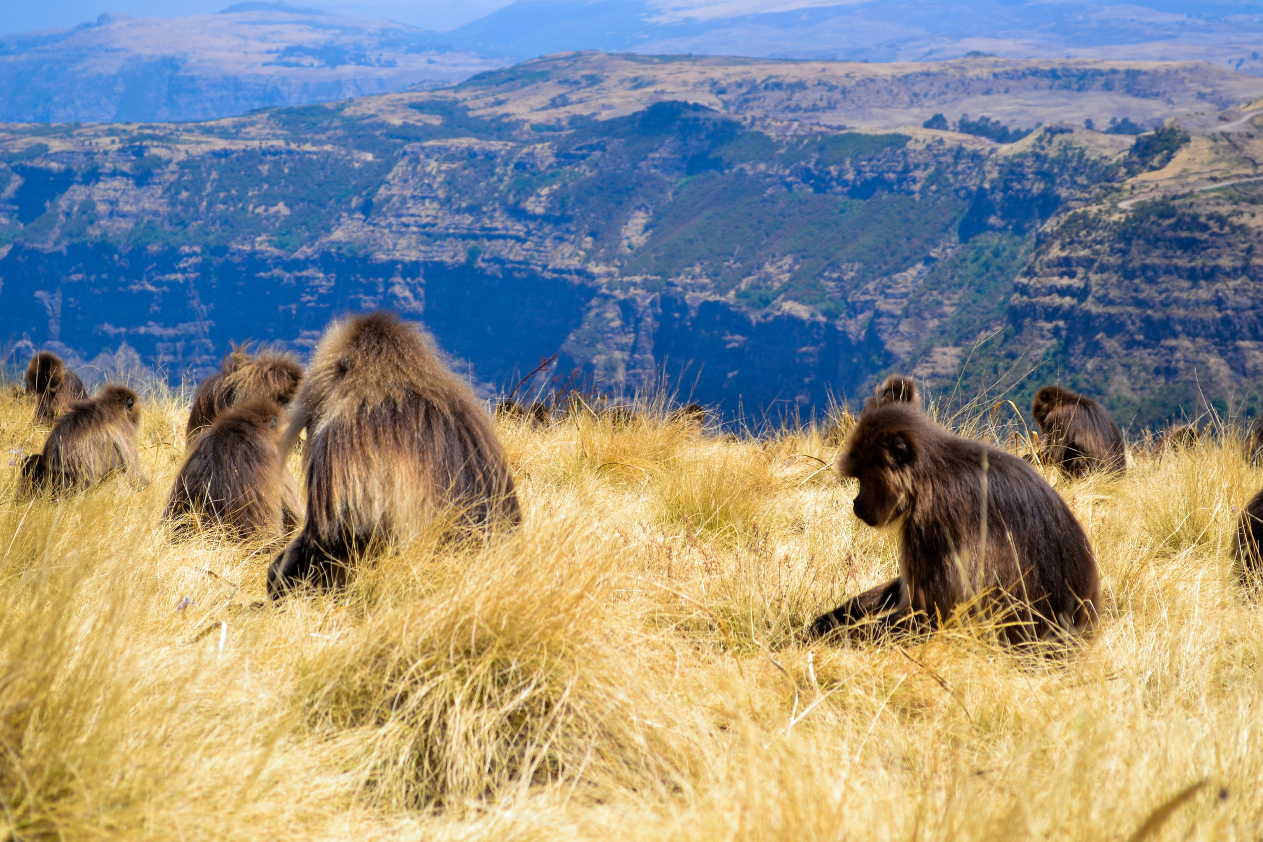 Gorgeous Ethiopia-13.jpg