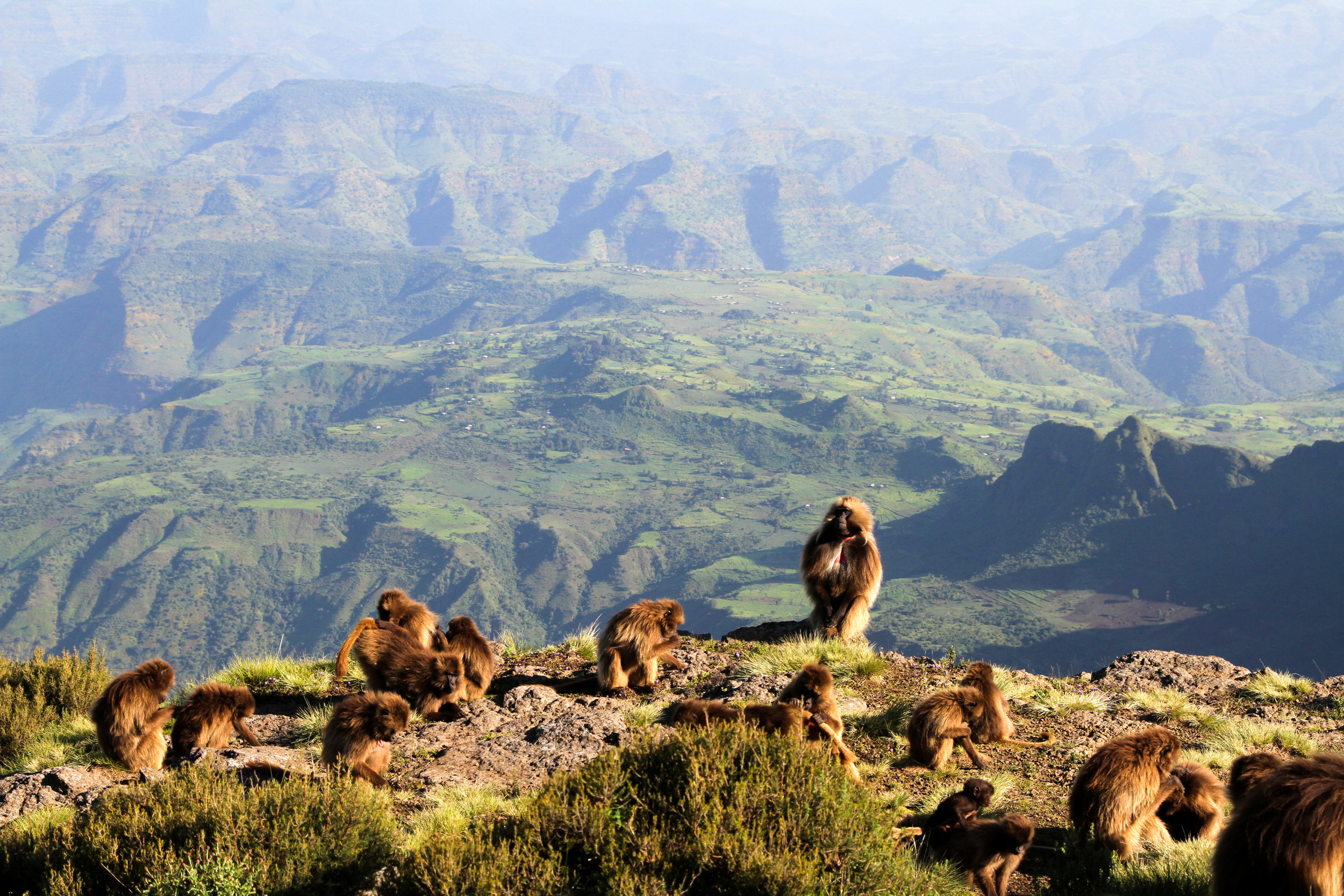 Gorgeous Ethiopia-50.jpg