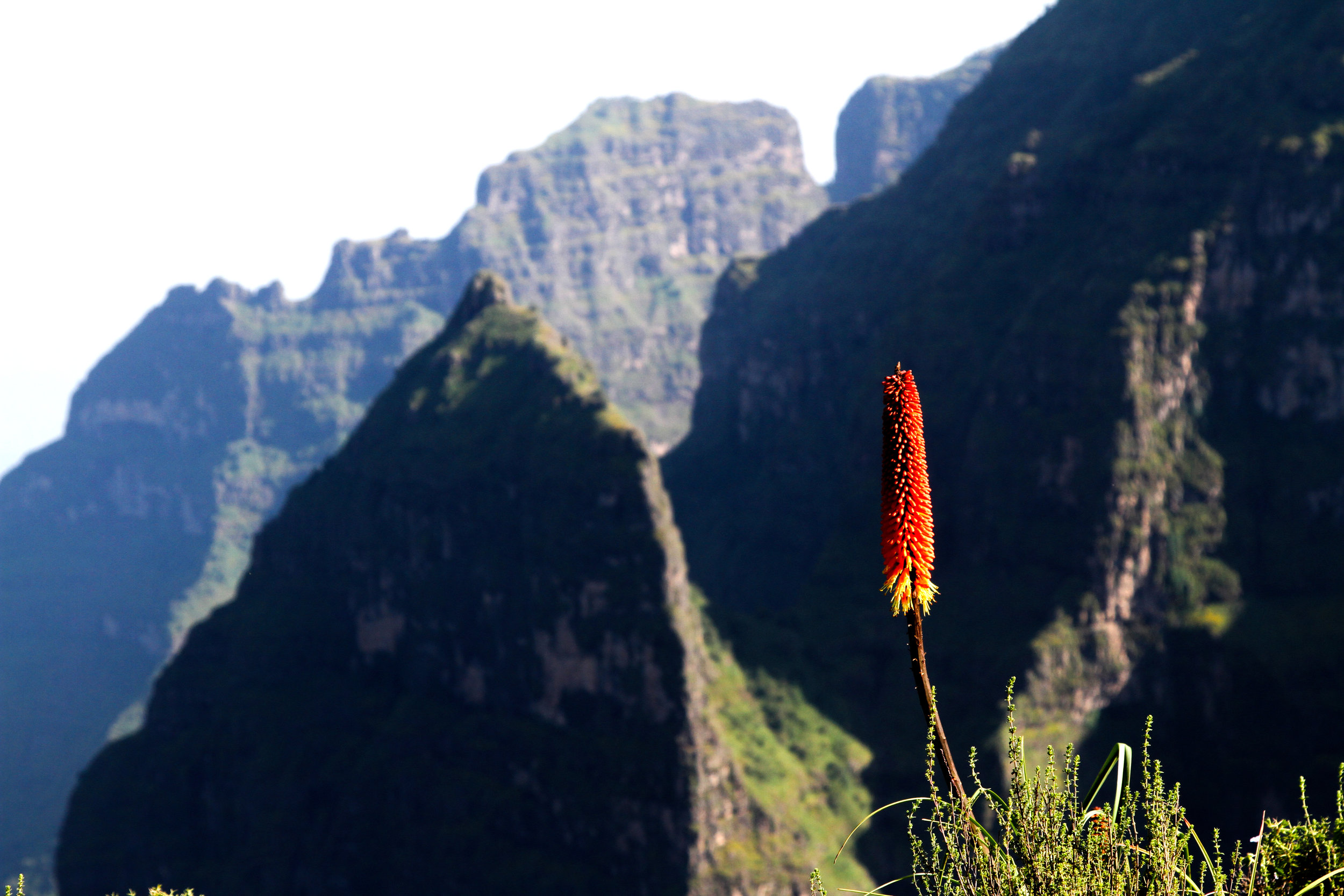 Gorgeous Ethiopia-51.jpg