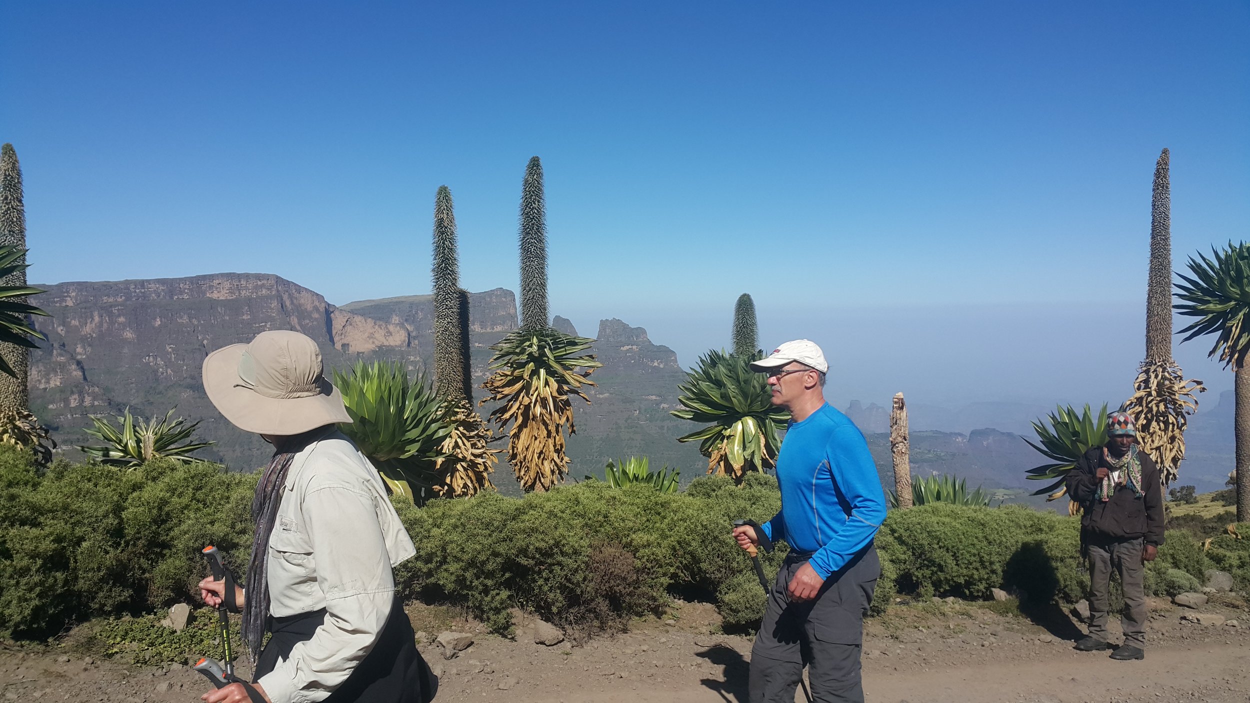 simien (5).jpg