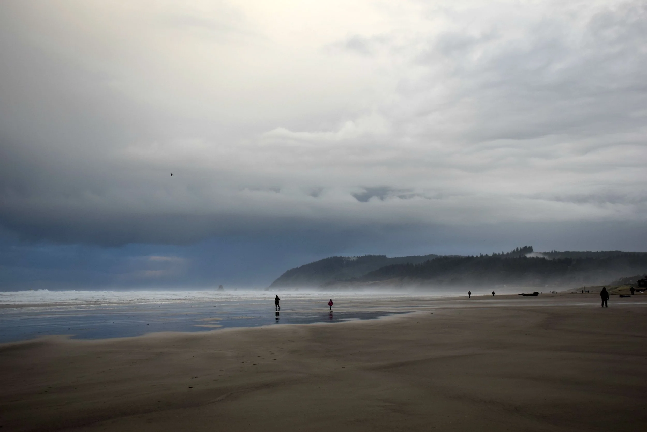DSC_0796.jpg