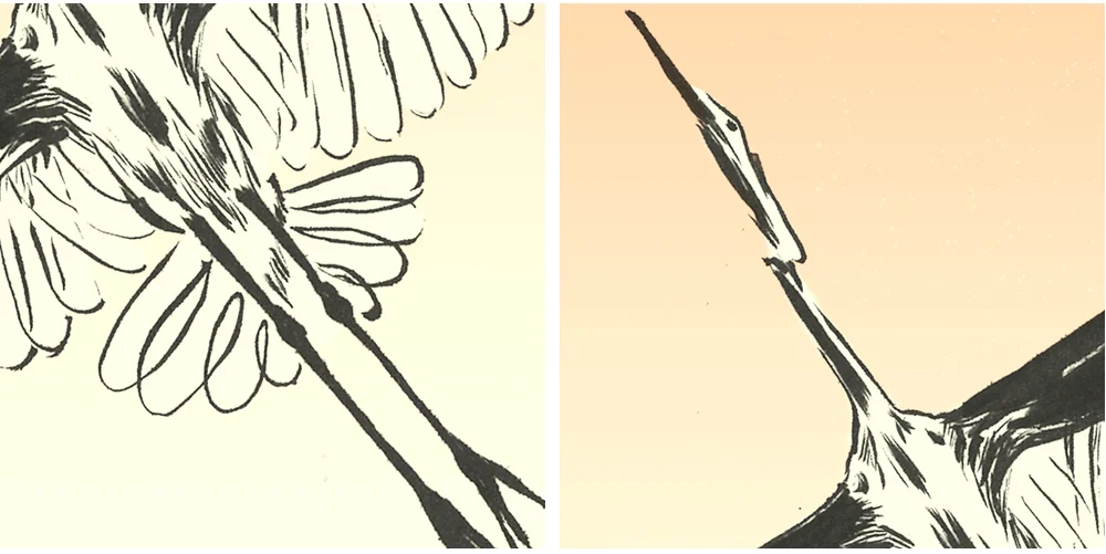 bird_detail.jpg