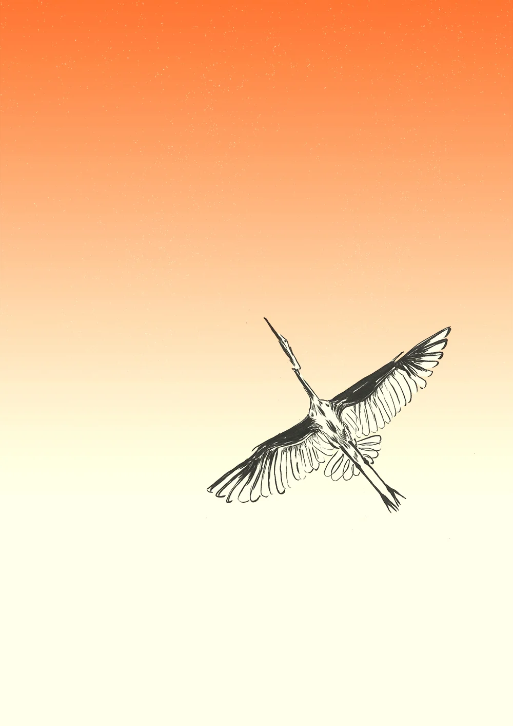 bird.jpg