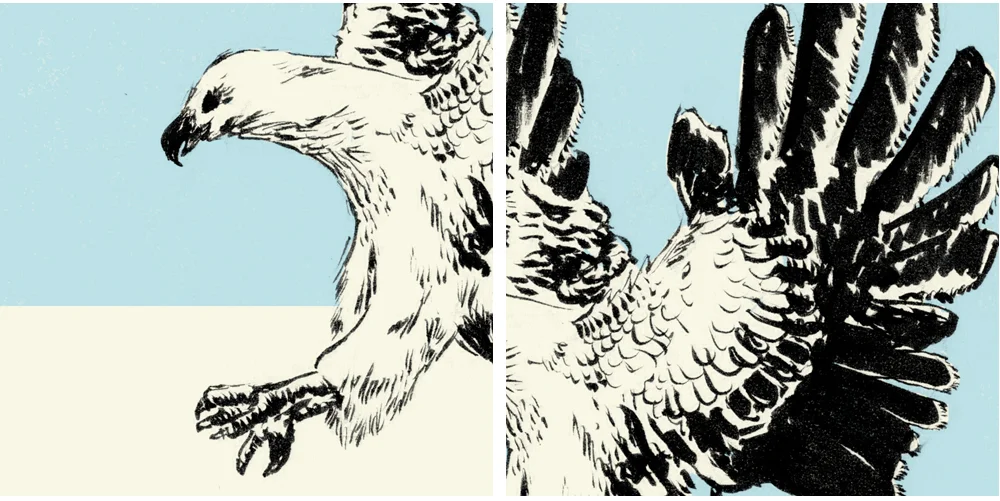 eagle_detail.jpg