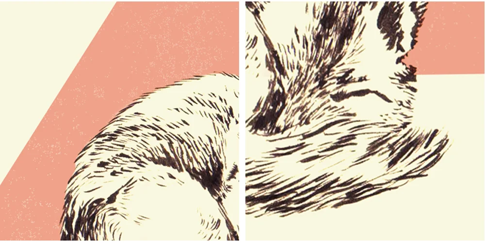 fox-details.jpg
