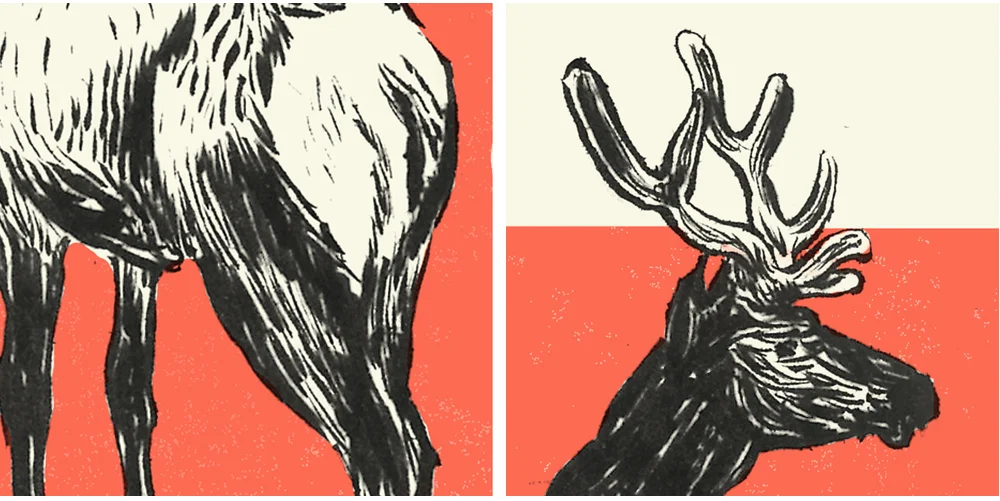 stag-detail.jpg