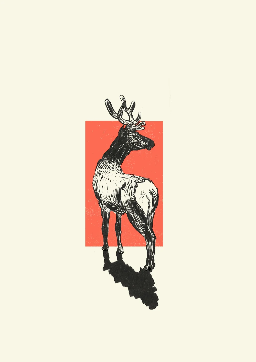 Stag.jpg
