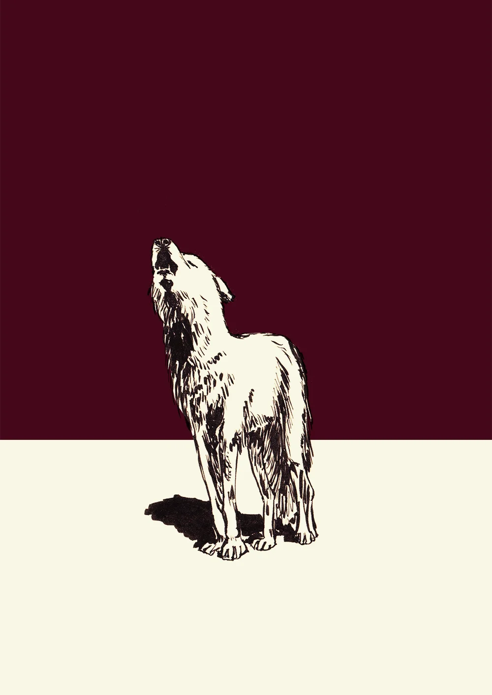 Wolf.jpg