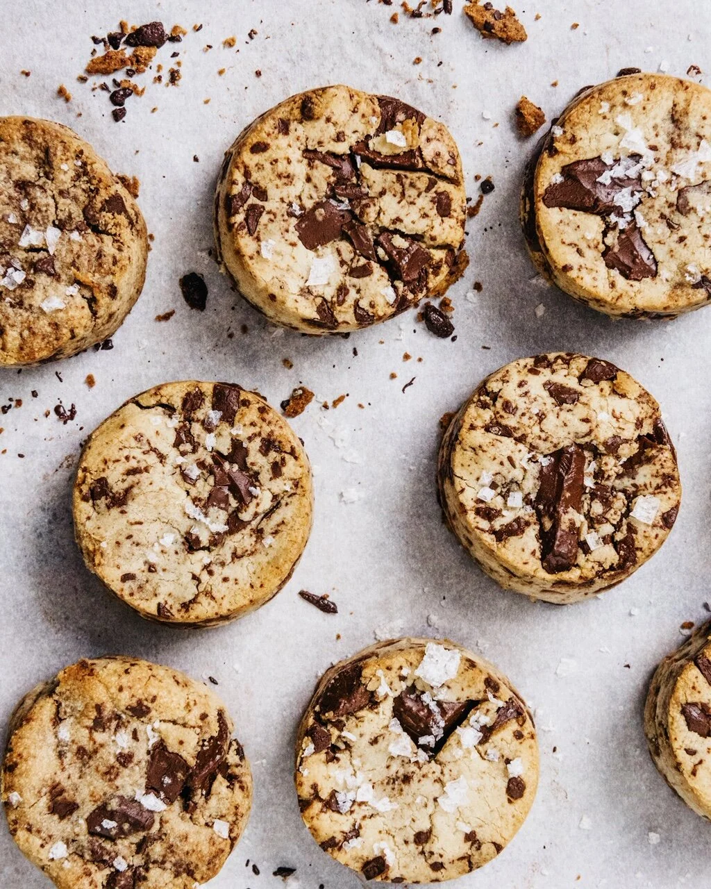 CHOCOLATE CHIP COOKIES \\ HOLIDAY STYLE