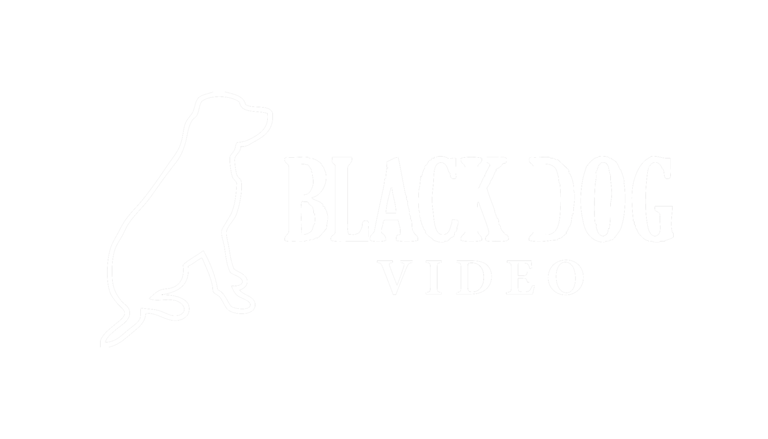 Black Dog Video