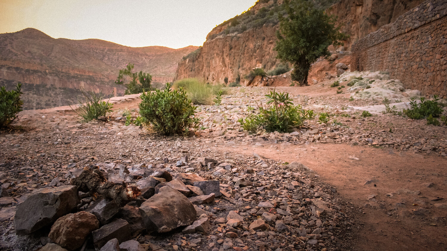 2014.05.01 - Agadir - Location Scouting (Nina Canon 60D) 56- LR (JPG 1500px 72DPI).jpg