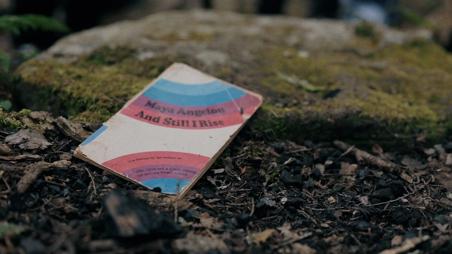 MV [1] LHA - La Abejita Amarilla - 29.97FPS - V3 HB FINAL (96kHz_24bit)-00001316 (LR JPG Full).jpg