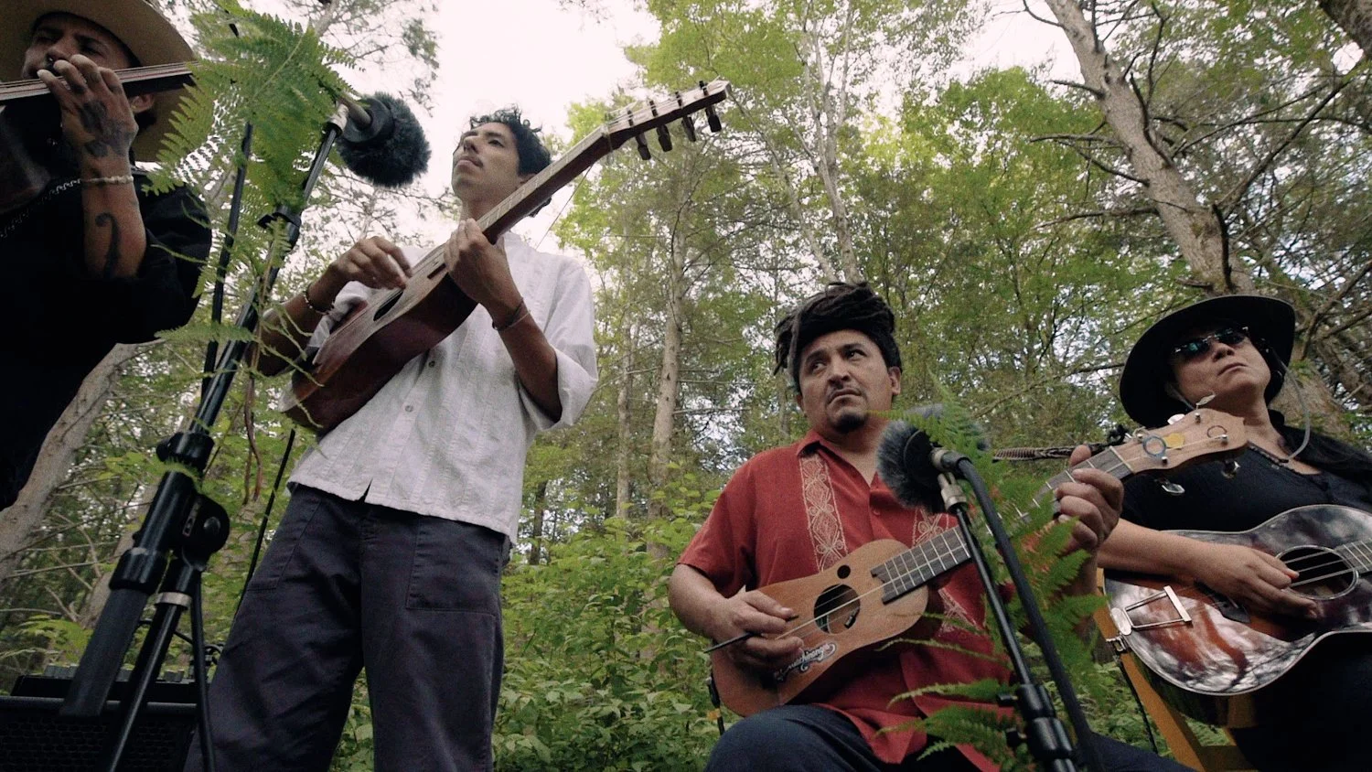 MV [1] LHA - La Abejita Amarilla - 29.97FPS - V3 HB FINAL (96kHz_24bit)-00062805 (LR JPG Full).jpg