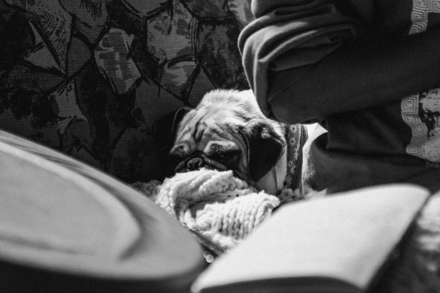 2025.08.21 - Tanfis IV - BTS + HPAC Pre-Production Rehearsal - Canon R5 24mm-70mm - Conrad Clifton (LR JPG Full) - 18 - B+W.jpg