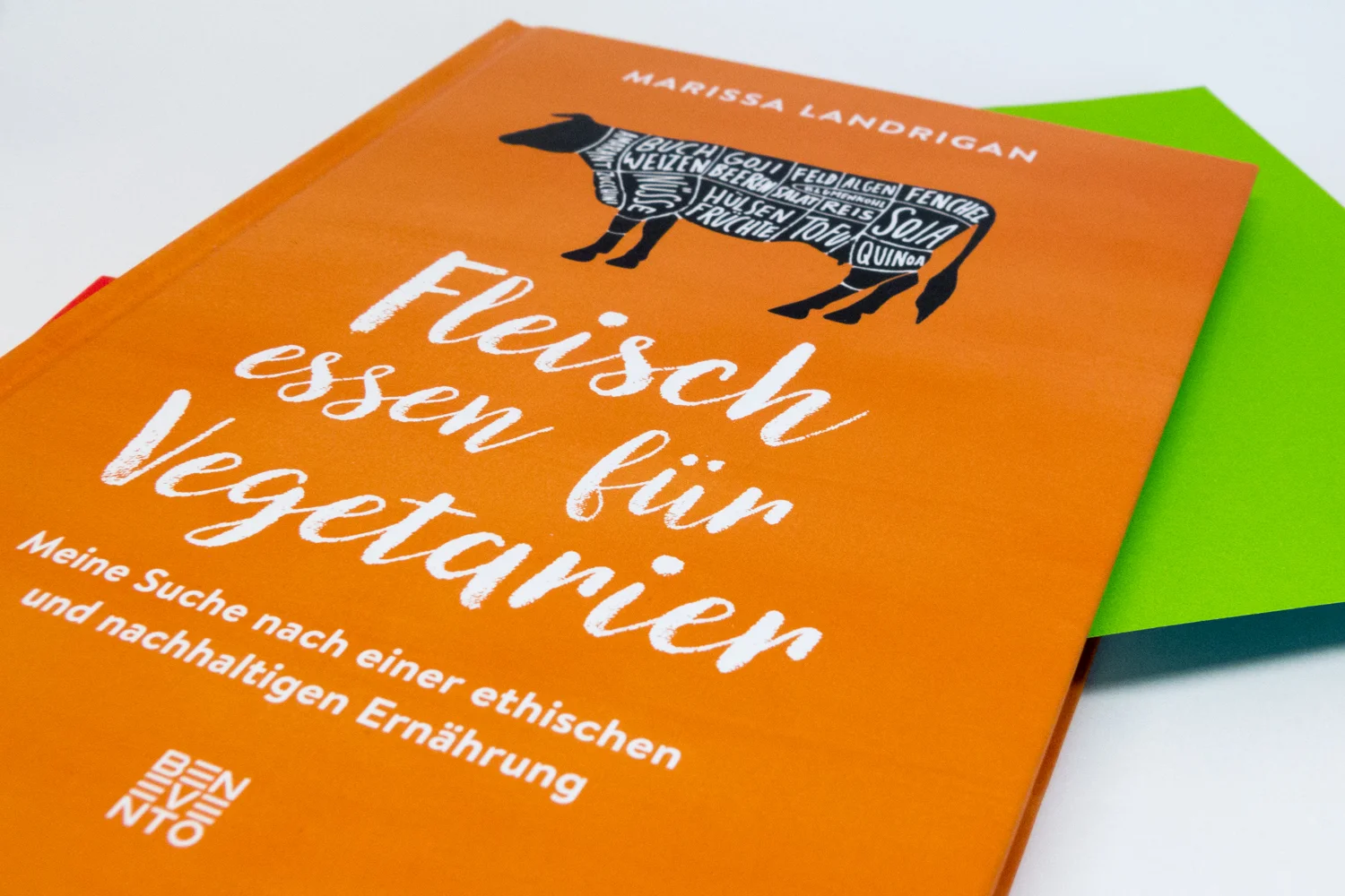 Landrigan_liegend.jpg