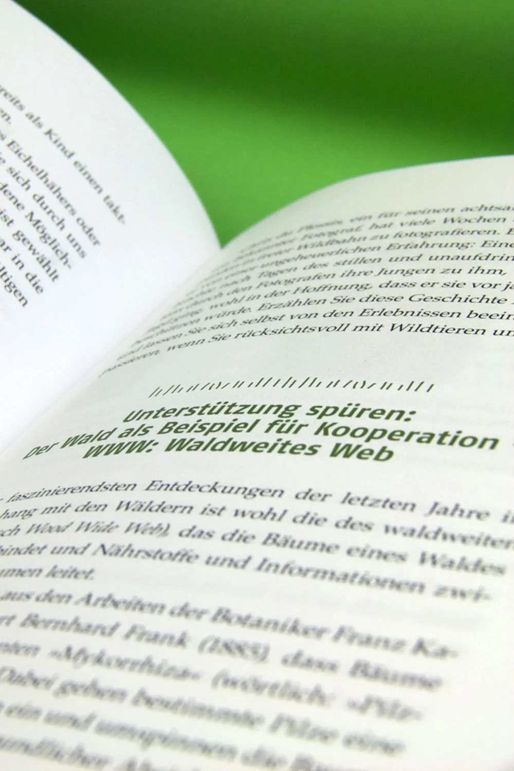 waldeskind_Text_nah.jpg