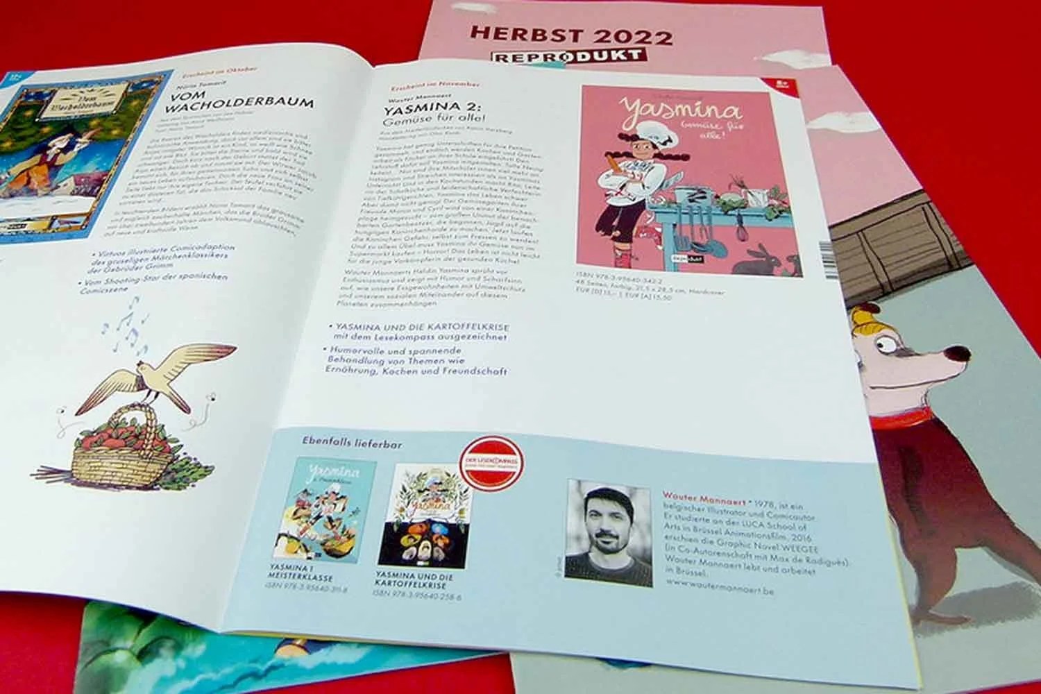 reprodukt_VS_H_22_Seiten05.jpg
