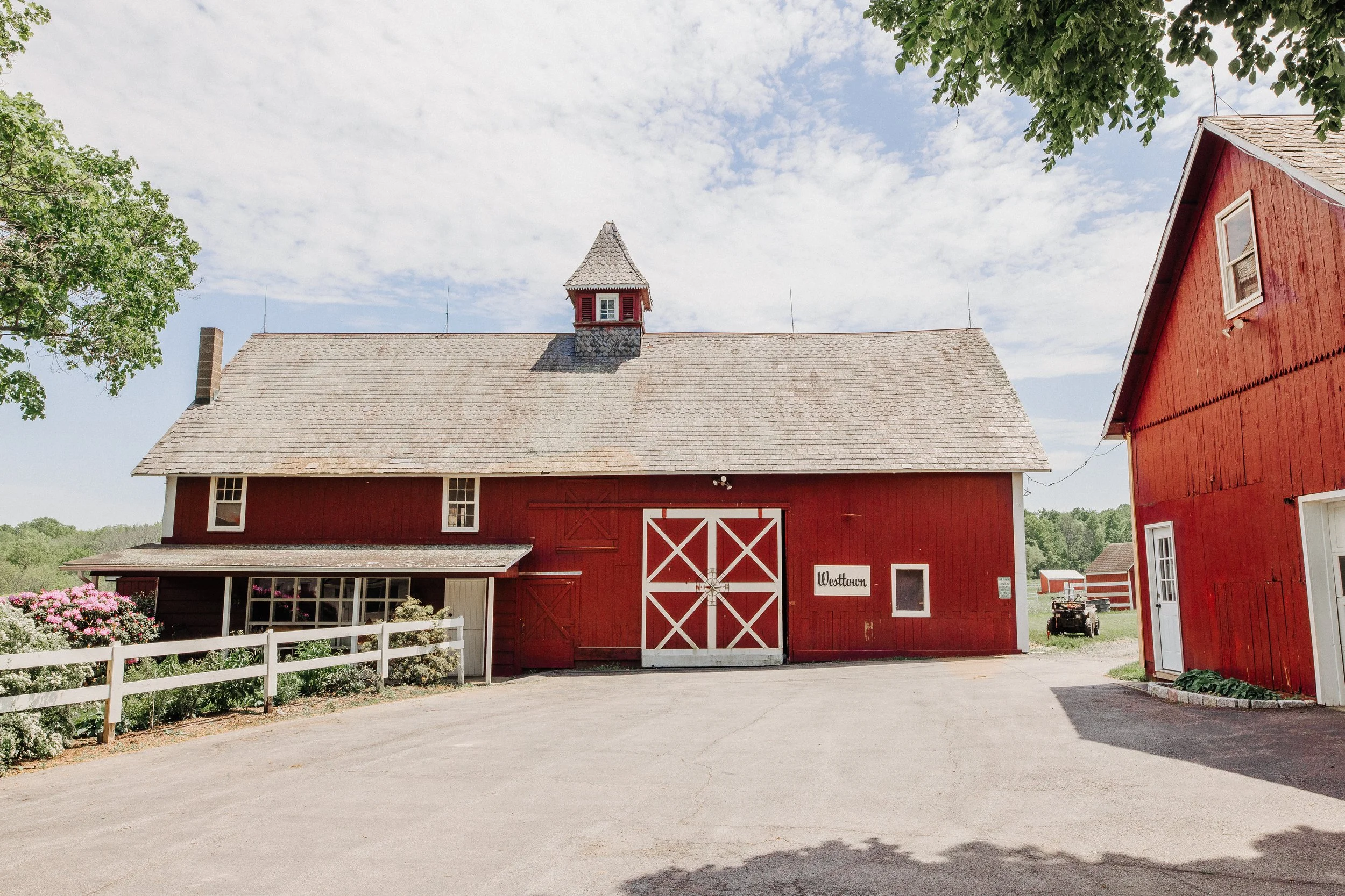 WestSongFarm-49.jpg