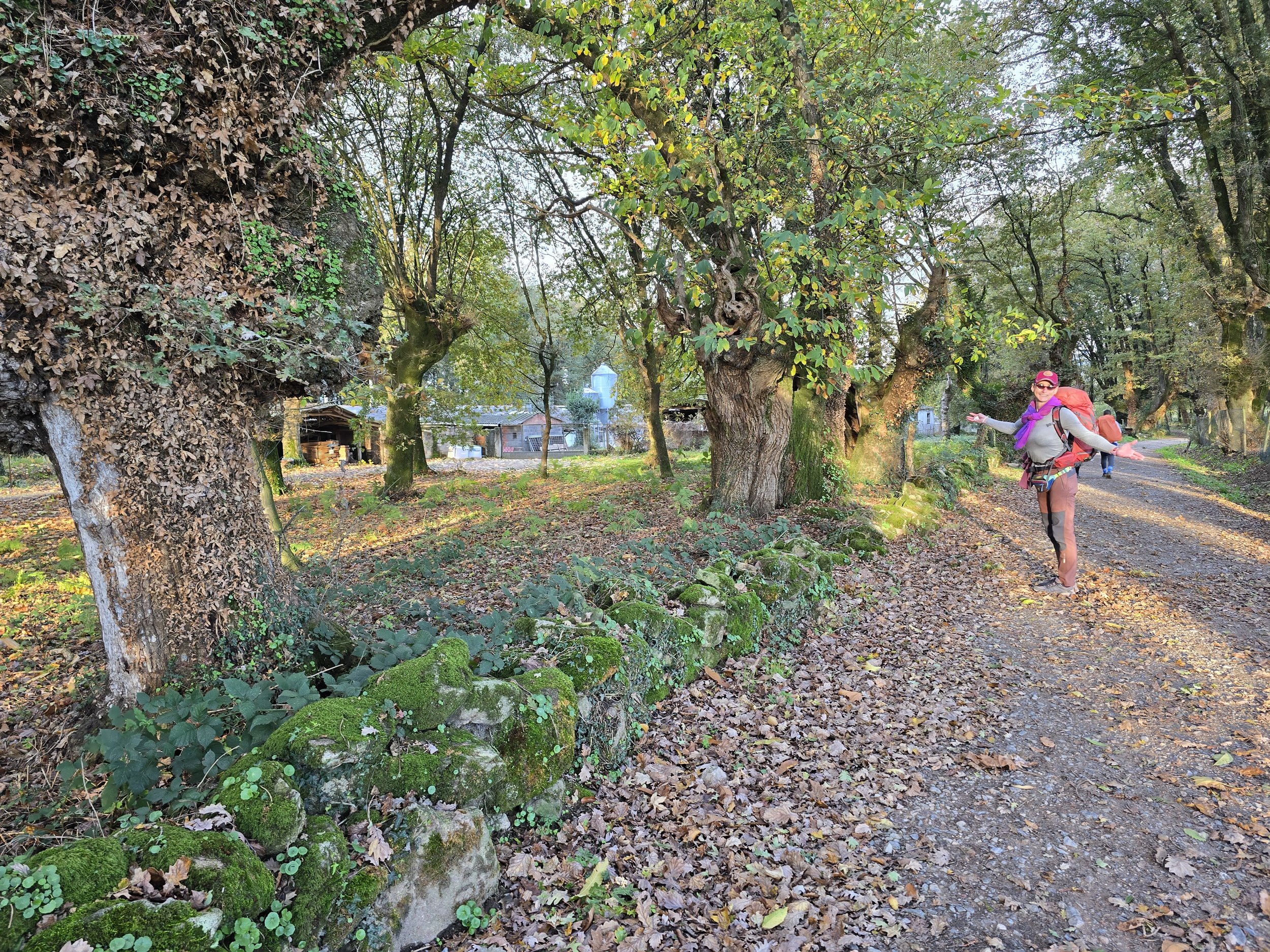 20251112_091055 - Copy.jpg