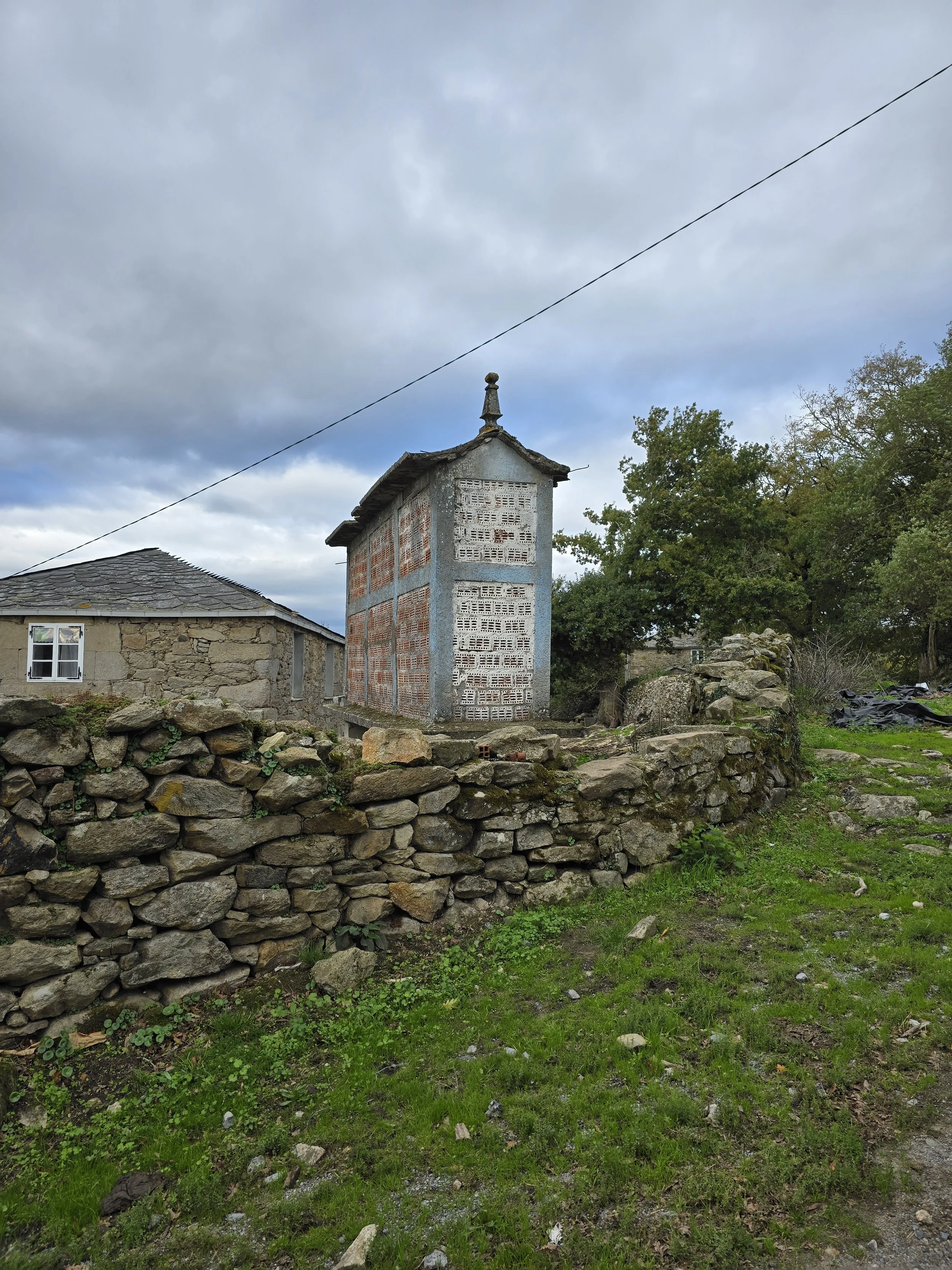 20251112_101501 - Copy.jpg