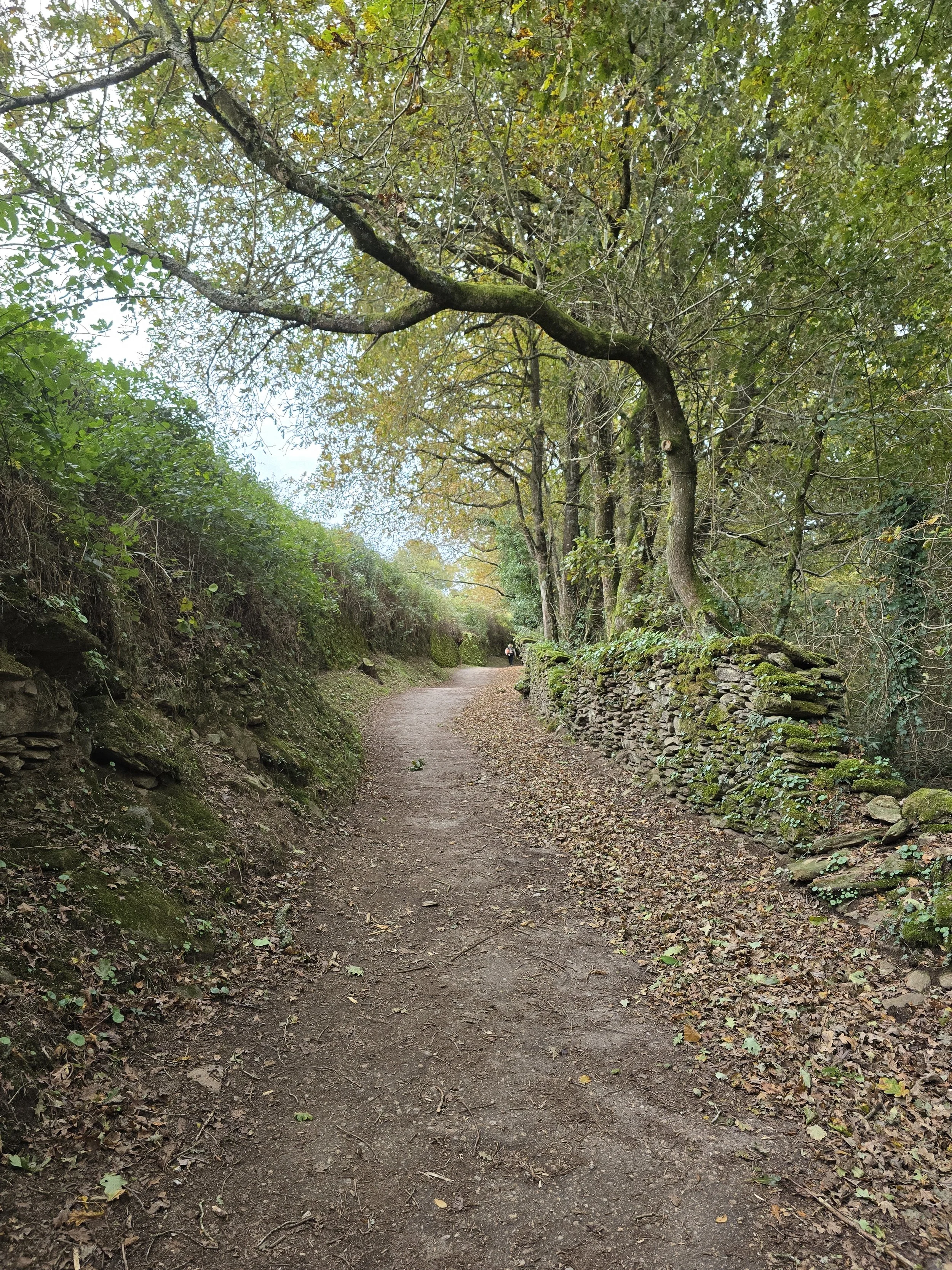 20251112_114739.jpg