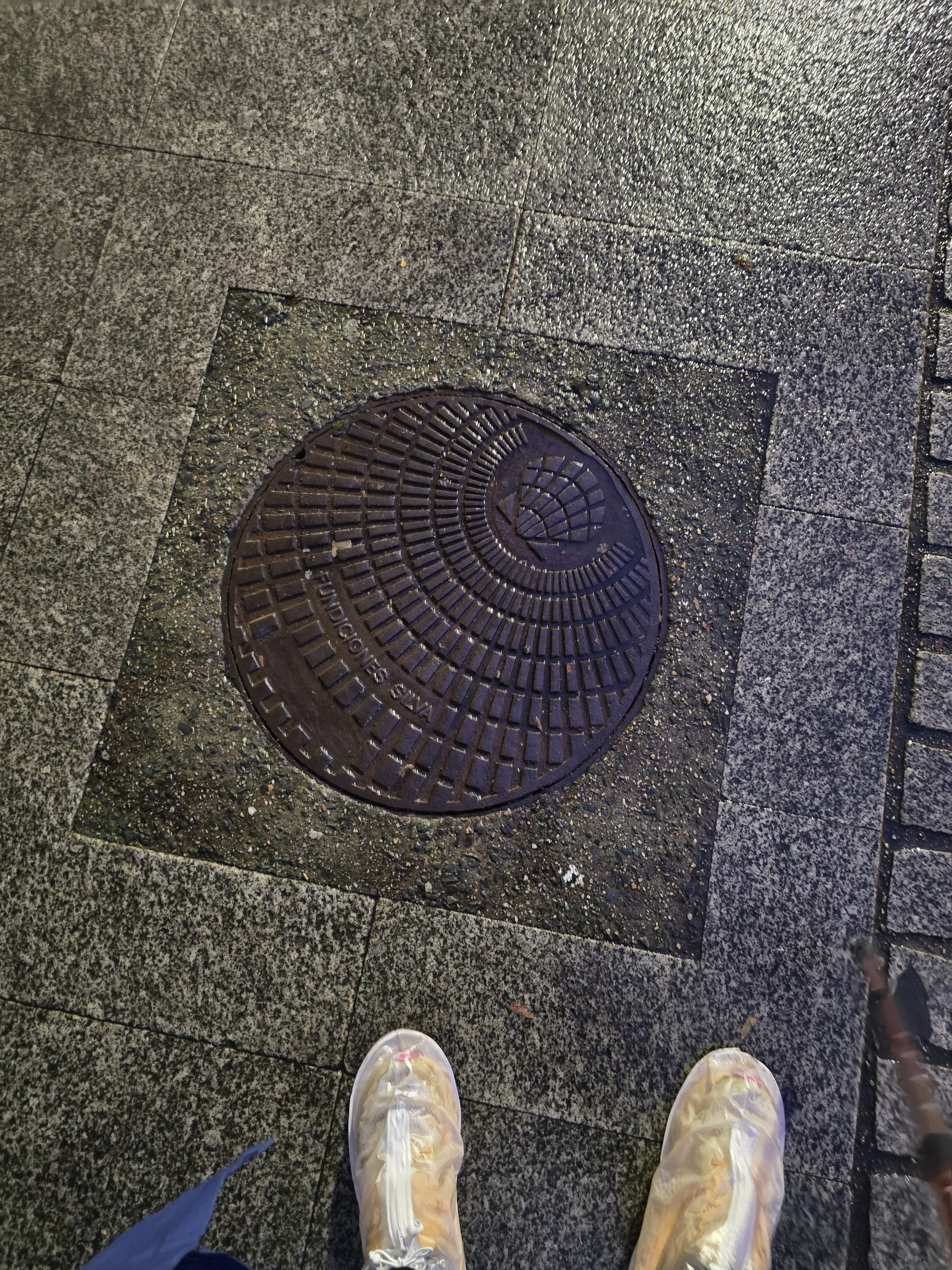 20251115_075948.jpg