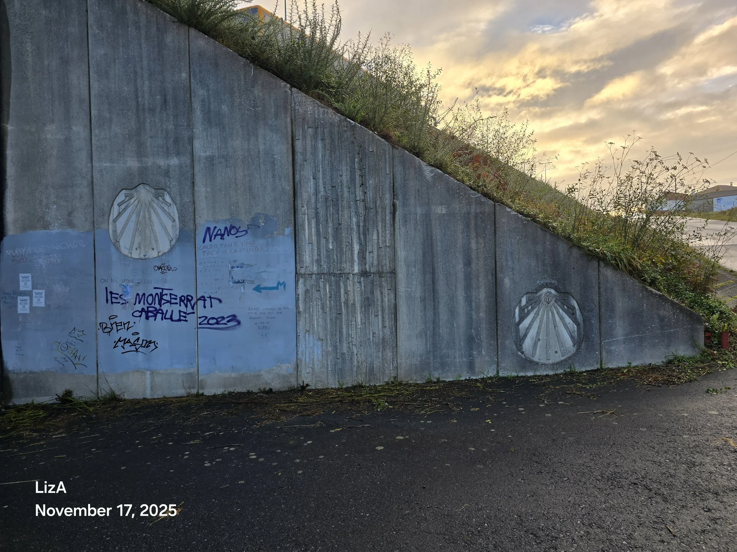 20251117_091630.jpg