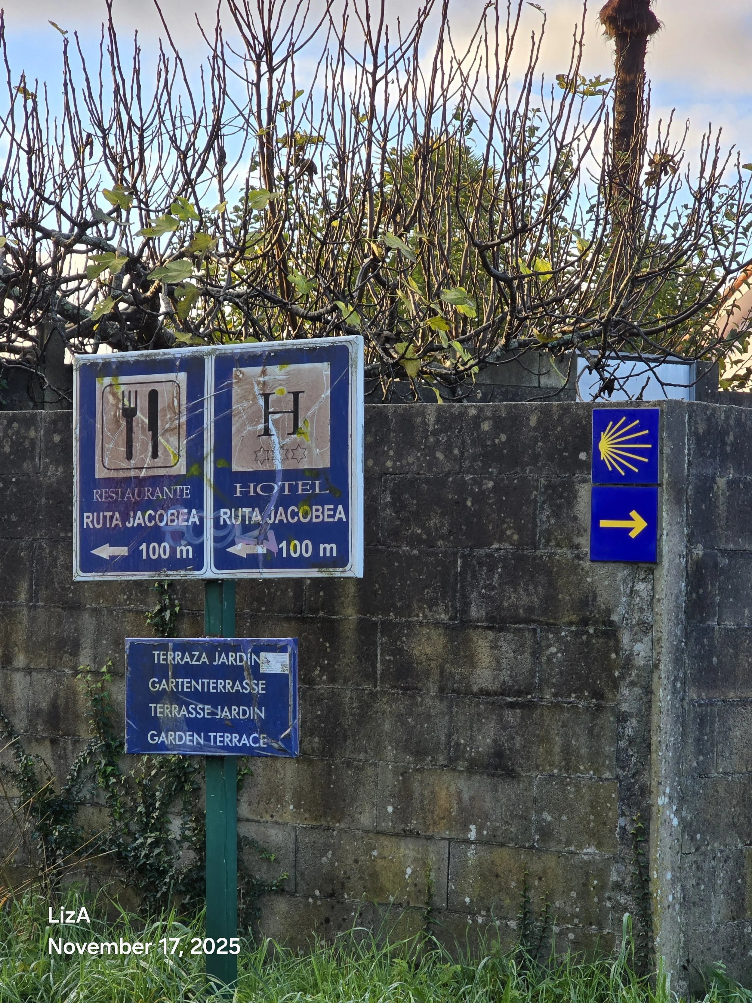 20251117_093623.jpg