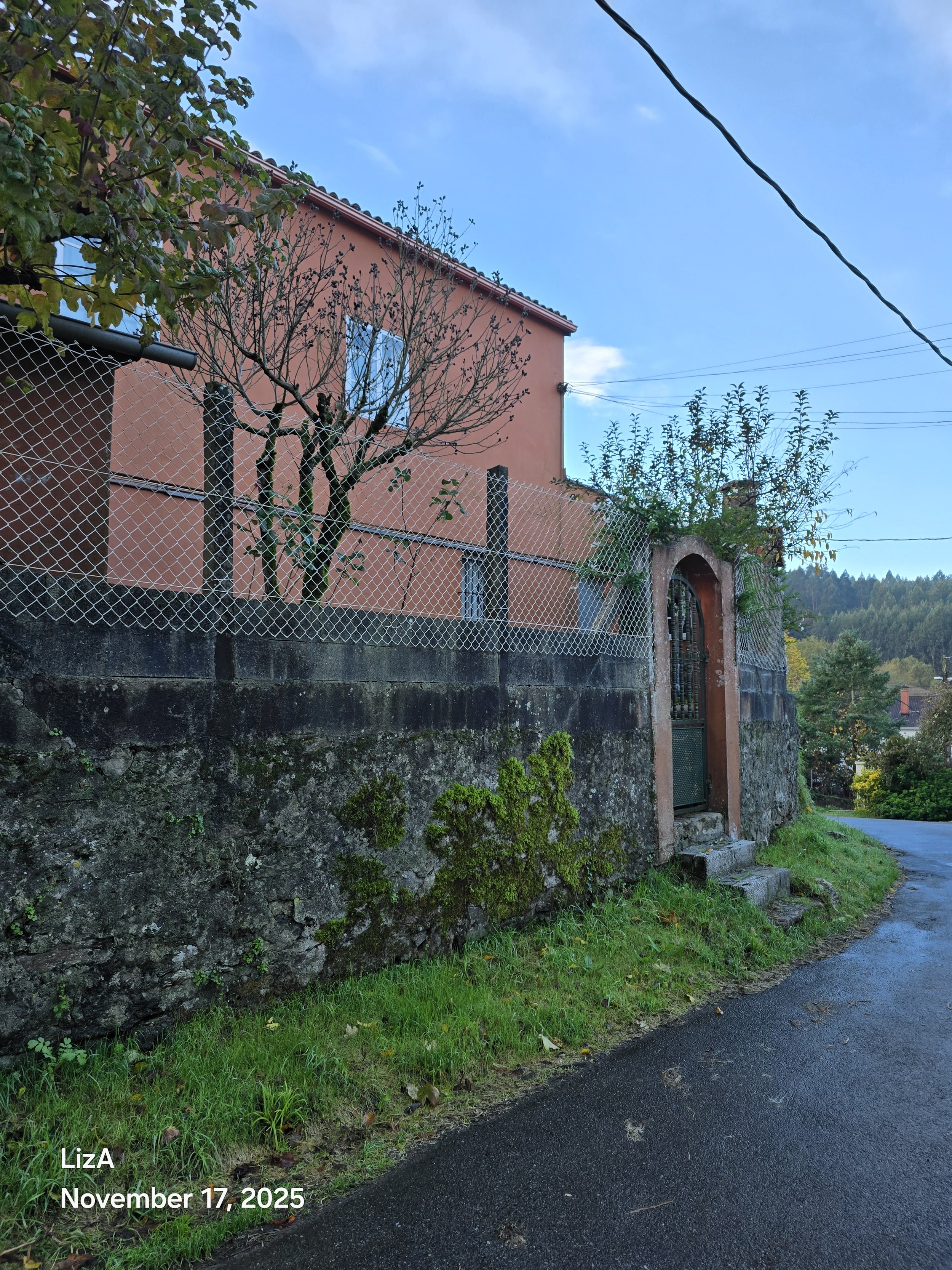 20251117_094120.jpg