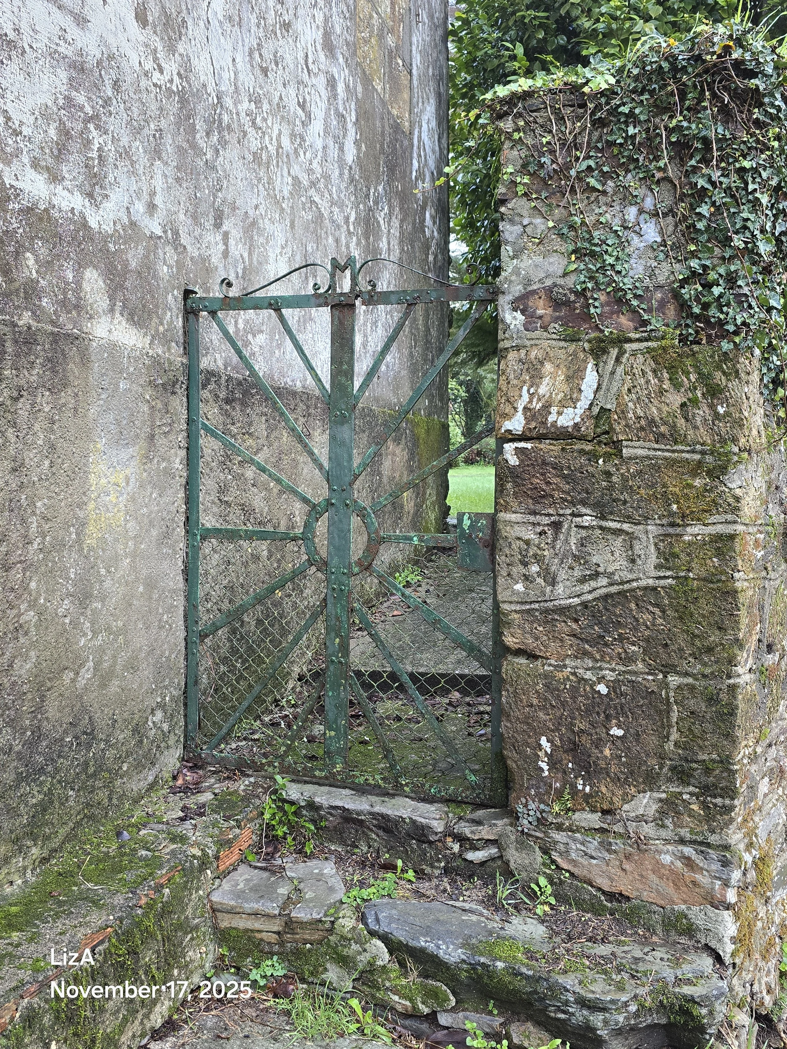 20251117_094837.jpg