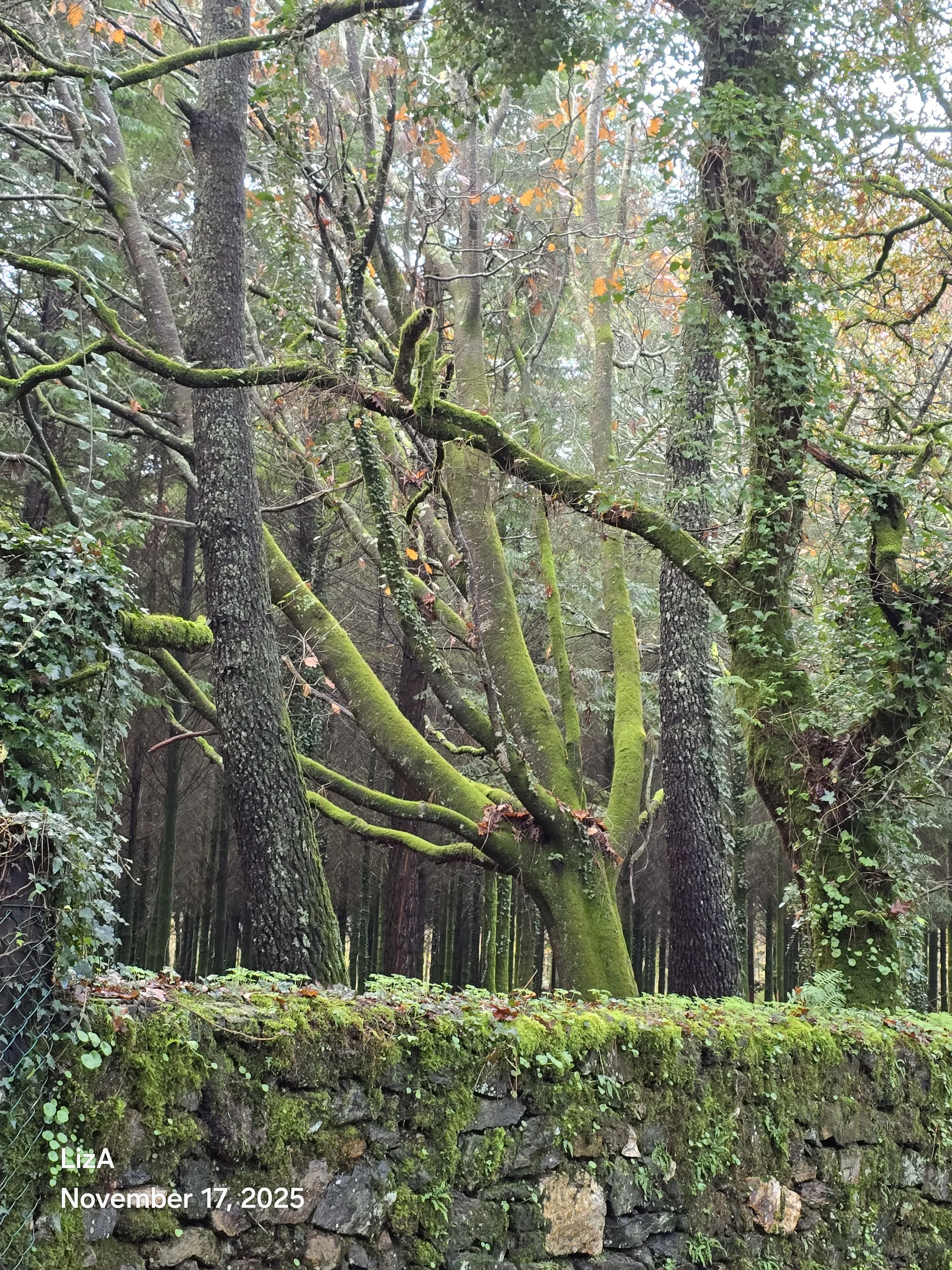20251117_102540.jpg