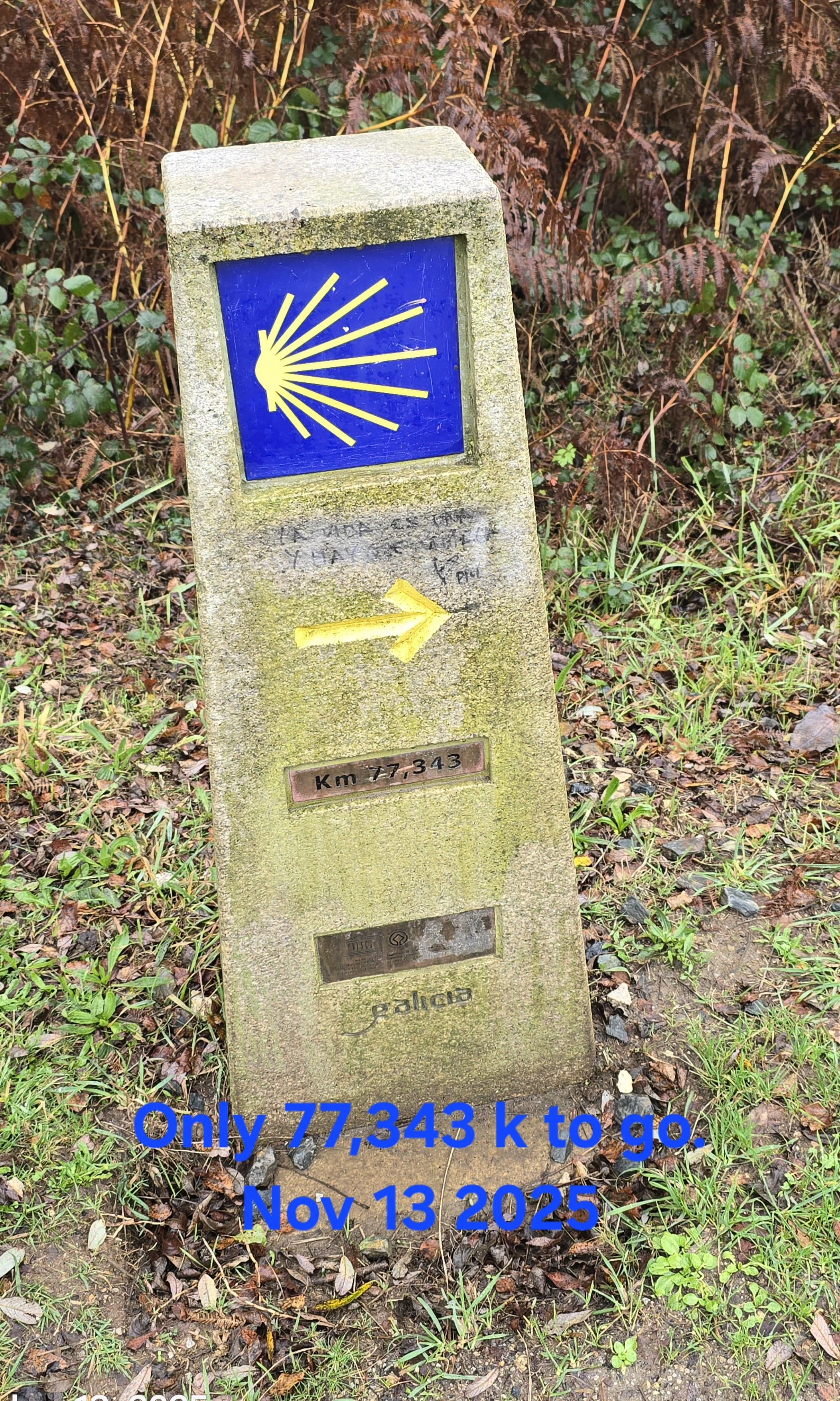 20251113_132314.jpg