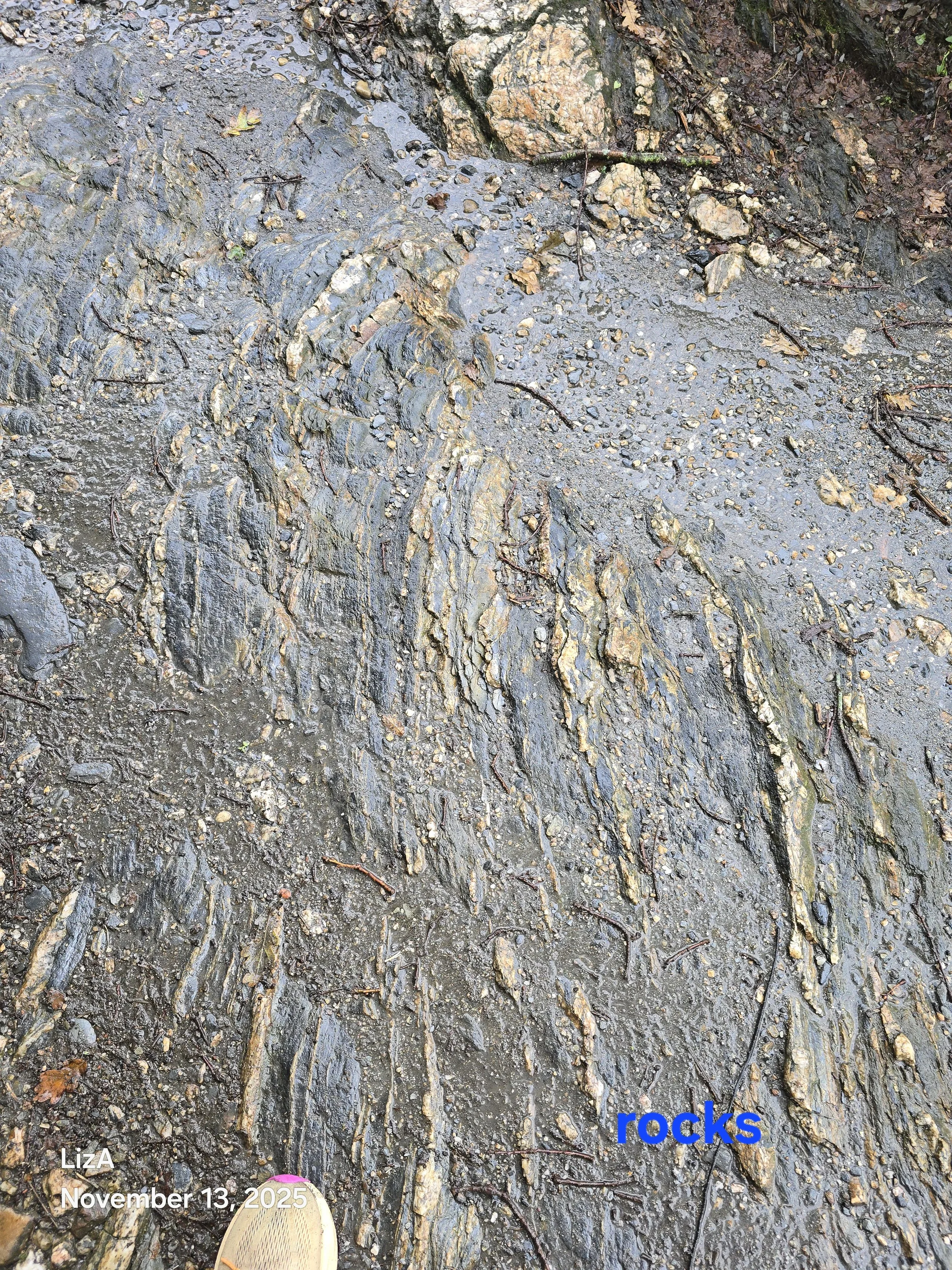 20251113_123500.jpg